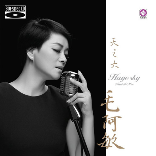 同一首歌 - 毛阿敏 | 同一首歌 cover 封面