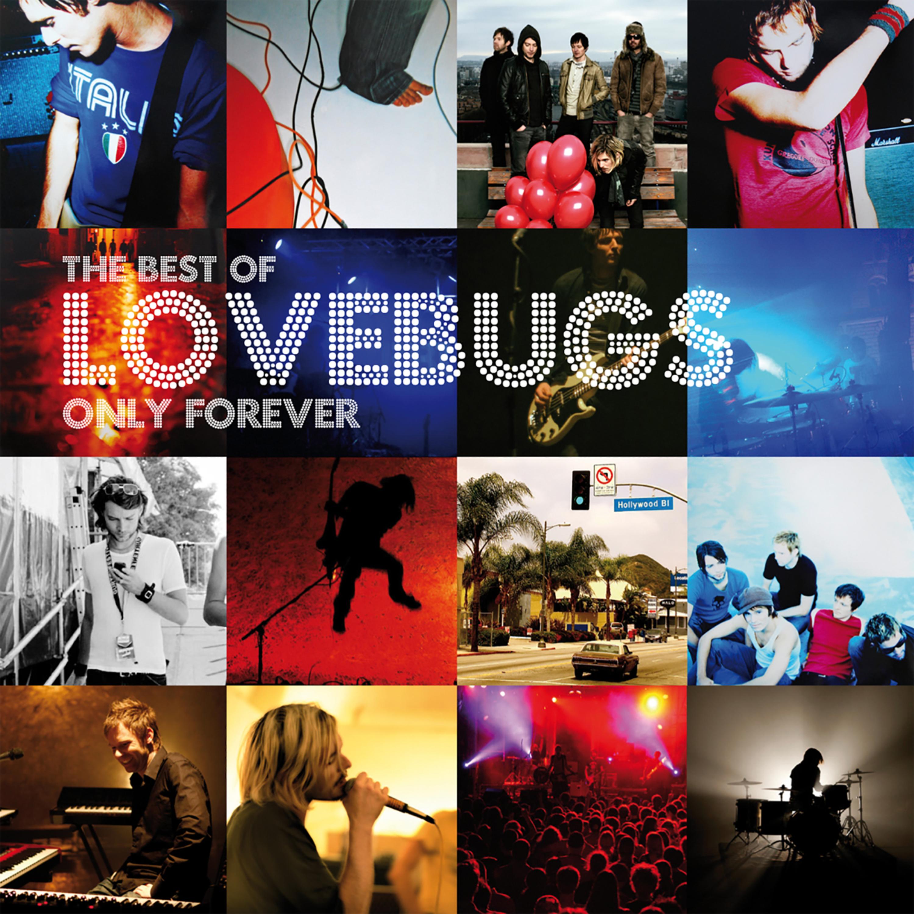Everybody Knows I Love You (Radio Edit) - Lovebugs | Everybody Knows I Love You (Radio Edit) cover 封面