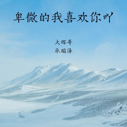 荷塘月色(DJ版) - 大辉哥 / 承瑞泽 | 荷塘月色(DJ版) cover 封面