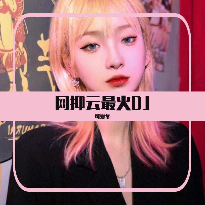 天下(DJ版) - 可爱冬 | 天下(DJ版) cover 封面