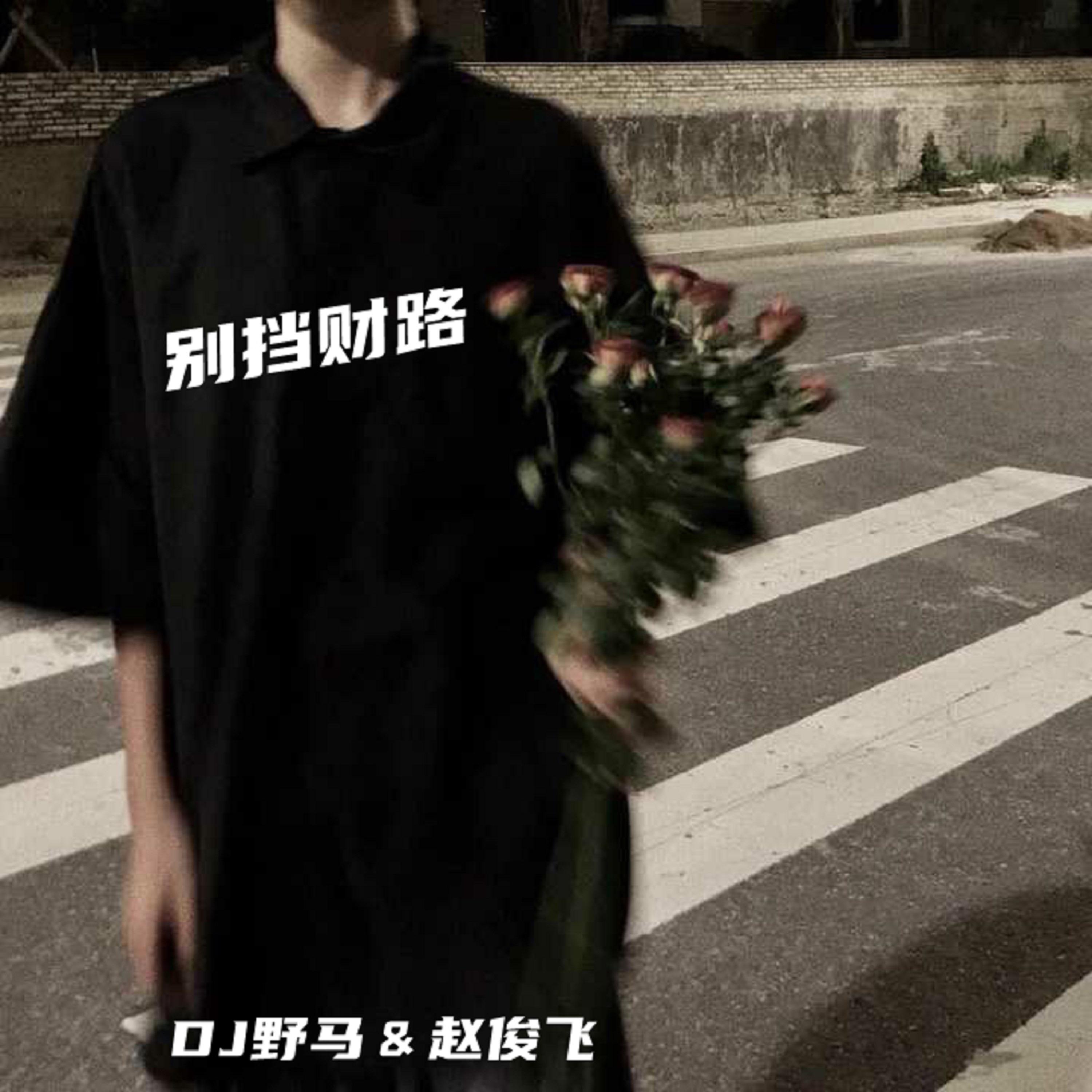 不再联系 (DJ版) - 赵俊飞 / DJ野马 | 不再联系 (DJ版) cover 封面