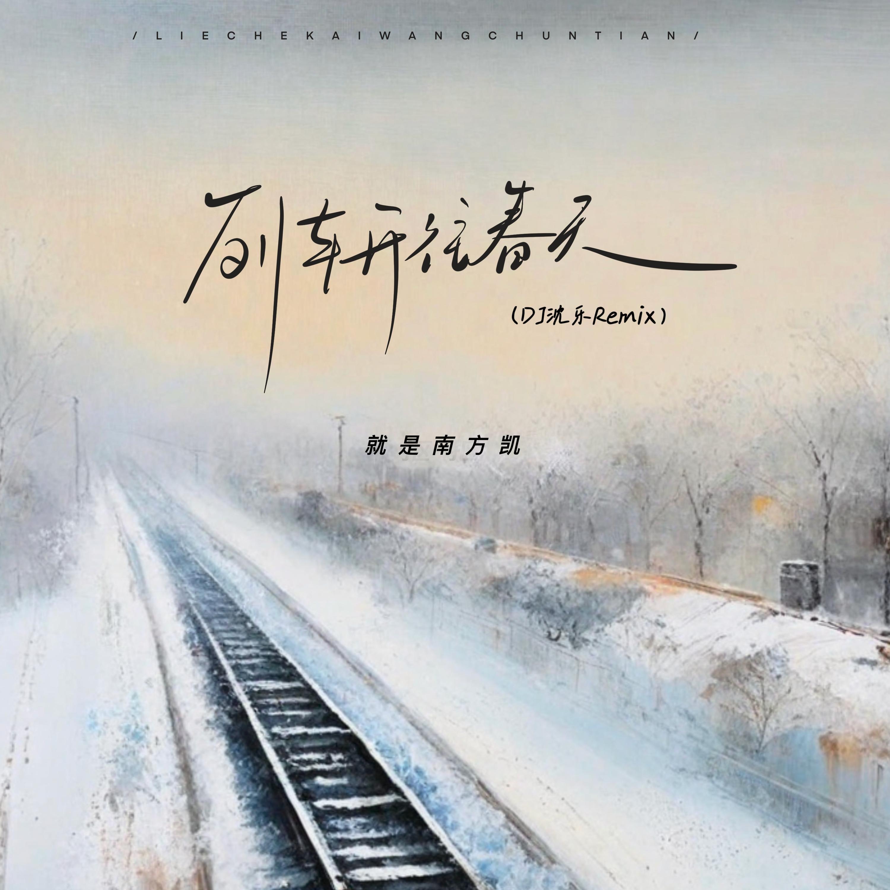 列车开往春天 (DJ版) - 就是南方凯 | 列车开往春天 (DJ版) cover 封面