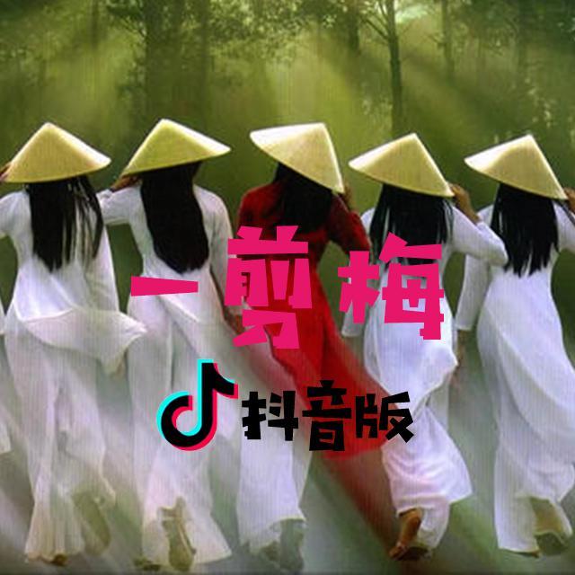 一剪梅 - 用户 1300324957 | 一剪梅 cover 封面