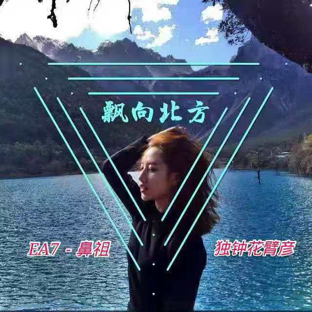 攀登 (DJ版) - 独钟花臂彦 | 攀登 (DJ版) cover 封面