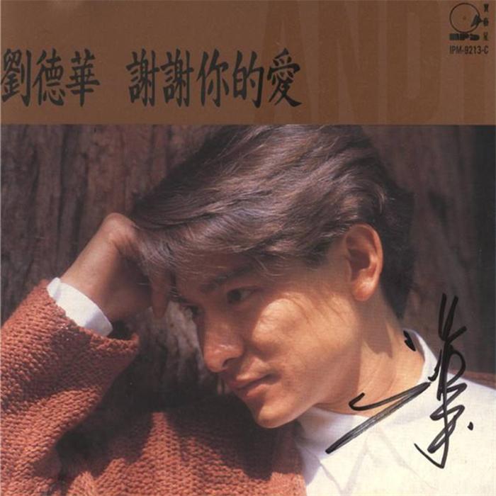 刘德华-谢谢你的爱(DJ版)(DJ版) - DJ阿福 | 刘德华-谢谢你的爱(DJ版)(DJ版) cover 封面