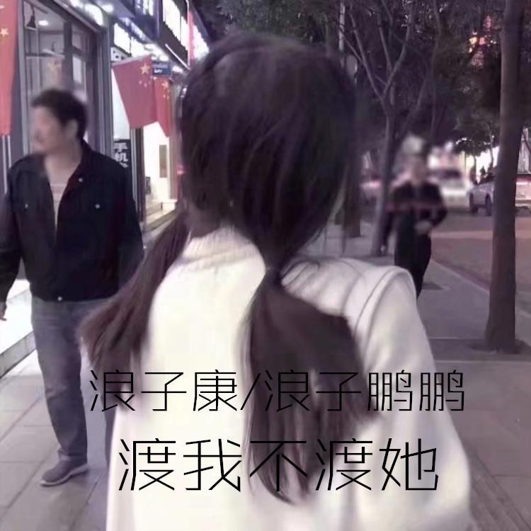 袁凤瑛-天若有情（咚鼓版）（浪子康 / 浪子鹏鹏 remix） - DJ浪子康 / 浪子鹏鹏 | 袁凤瑛-天若有情（咚鼓版）（浪子康 / 浪子鹏鹏 remix） cover 封面