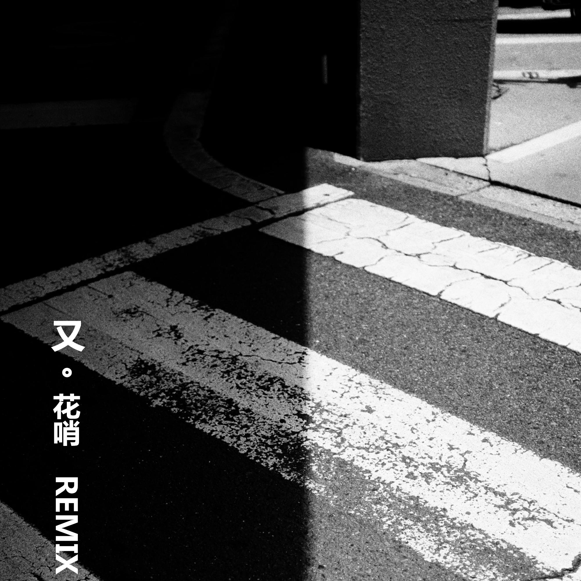又 (DJ版) - 花哨 | 又 (DJ版) cover 封面