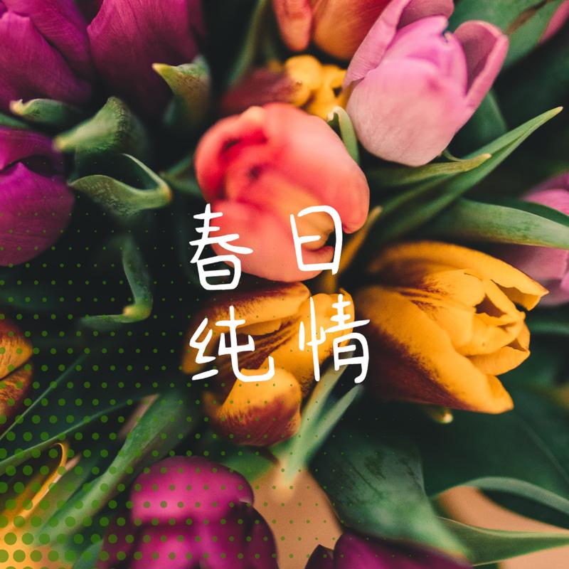 望春风 (台语) - 邓丽君 | 望春风 (台语) cover 封面