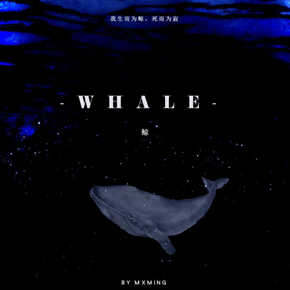 鲸（whale） - 祝一可 | 鲸（whale） cover 封面