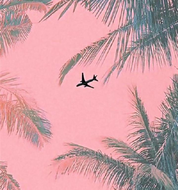 ❥ - H-H | ❥ cover 封面