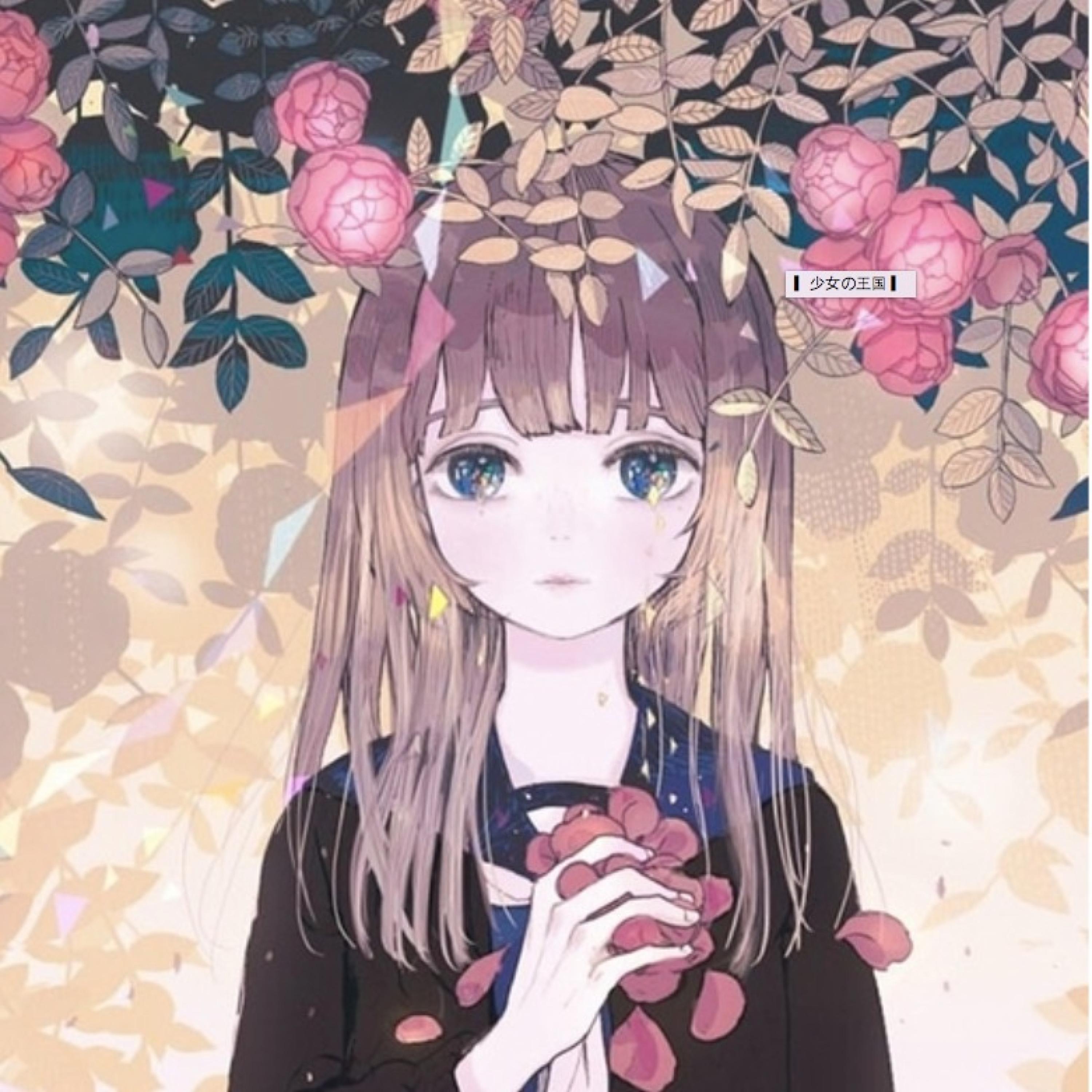 花のうた - Meandi鸦缺 | 花のうた cover 封面