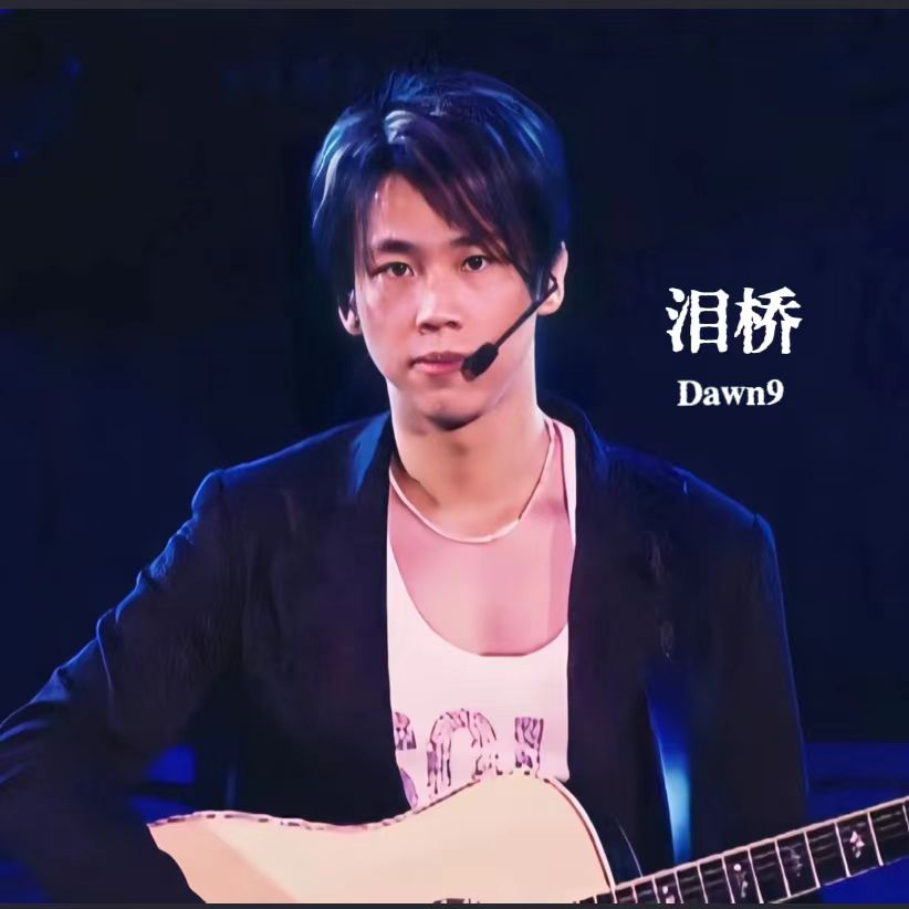 泪桥 - Dawn9 | 泪桥 cover 封面