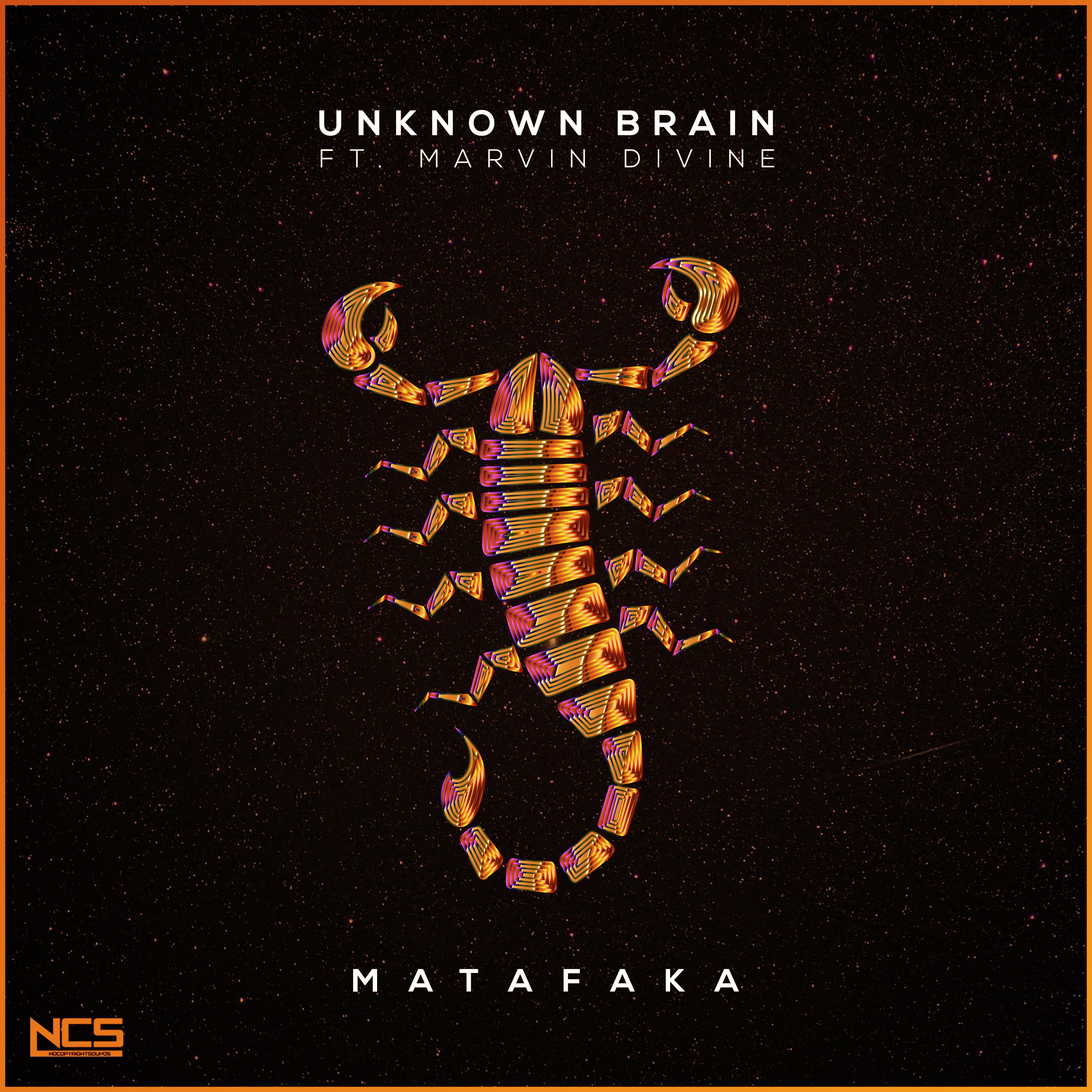 MATAFAKA - Unknown Brain / Marvin Divine | MATAFAKA cover 封面