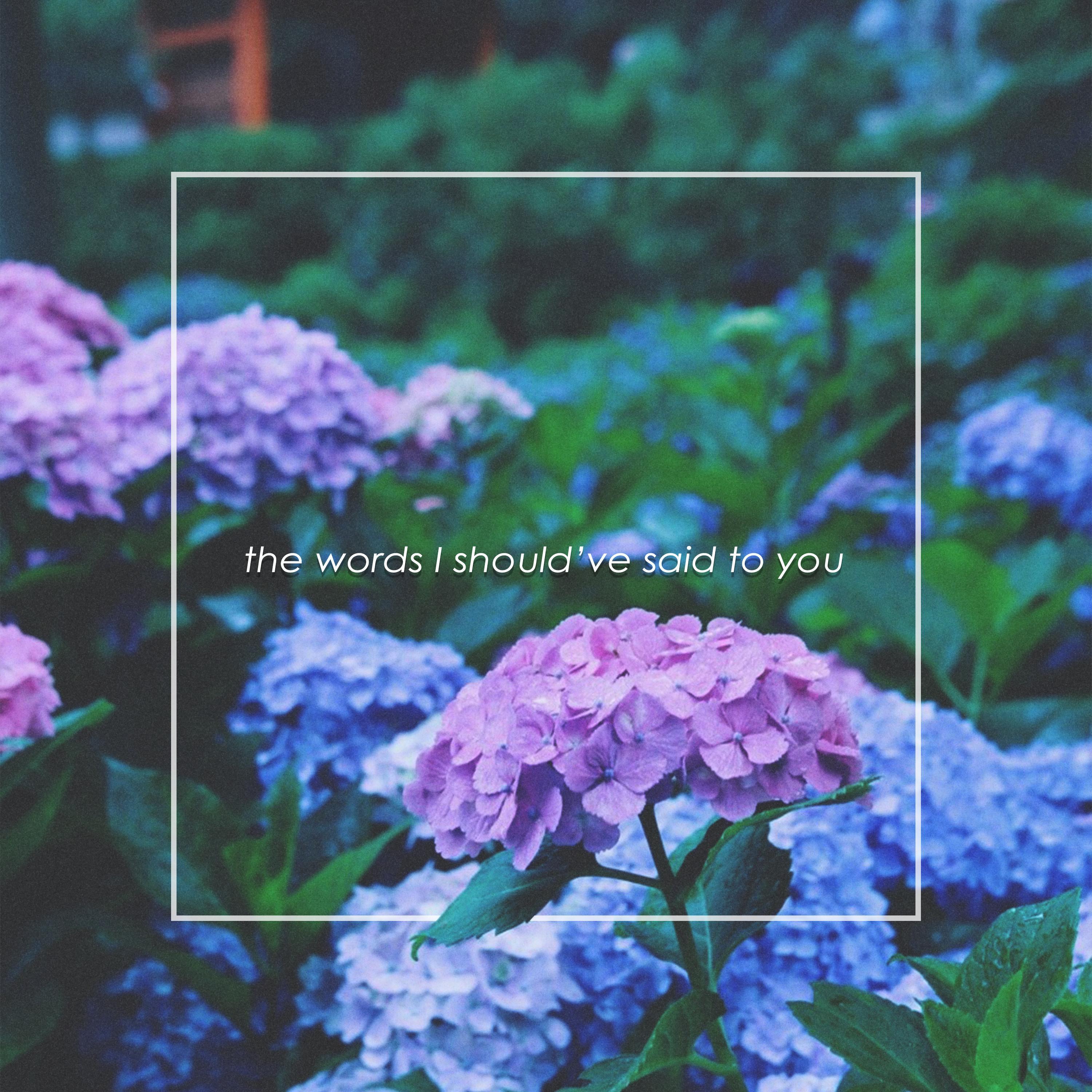 the words i should've said - Demxntia | the words i should've said cover 封面