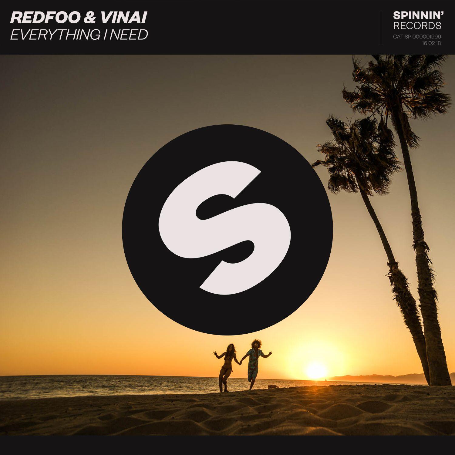 Everything I Need - Redfoo / Vinai | Everything I Need cover 封面