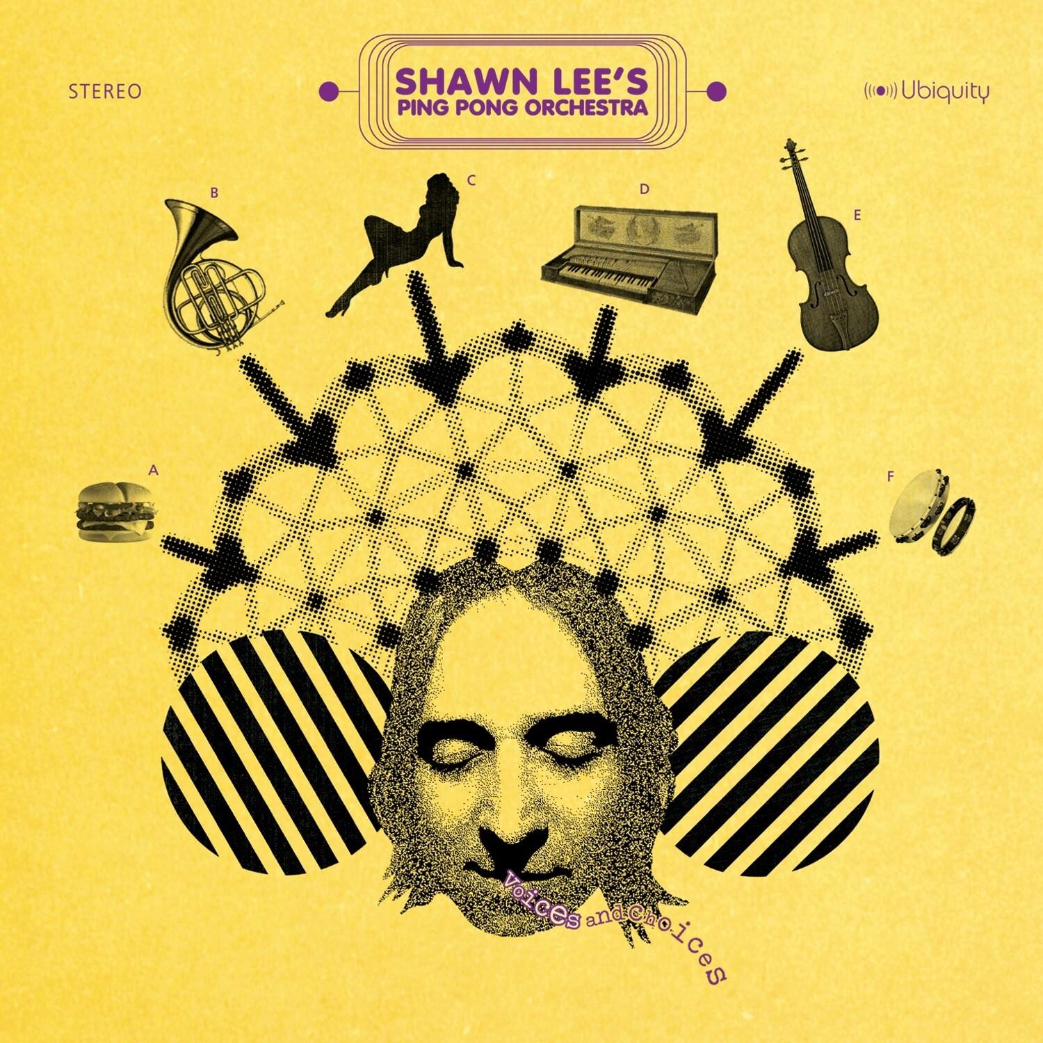 Kiss the Sky - Shawn Lee's Ping Pong Orchestra | Kiss the Sky cover 封面