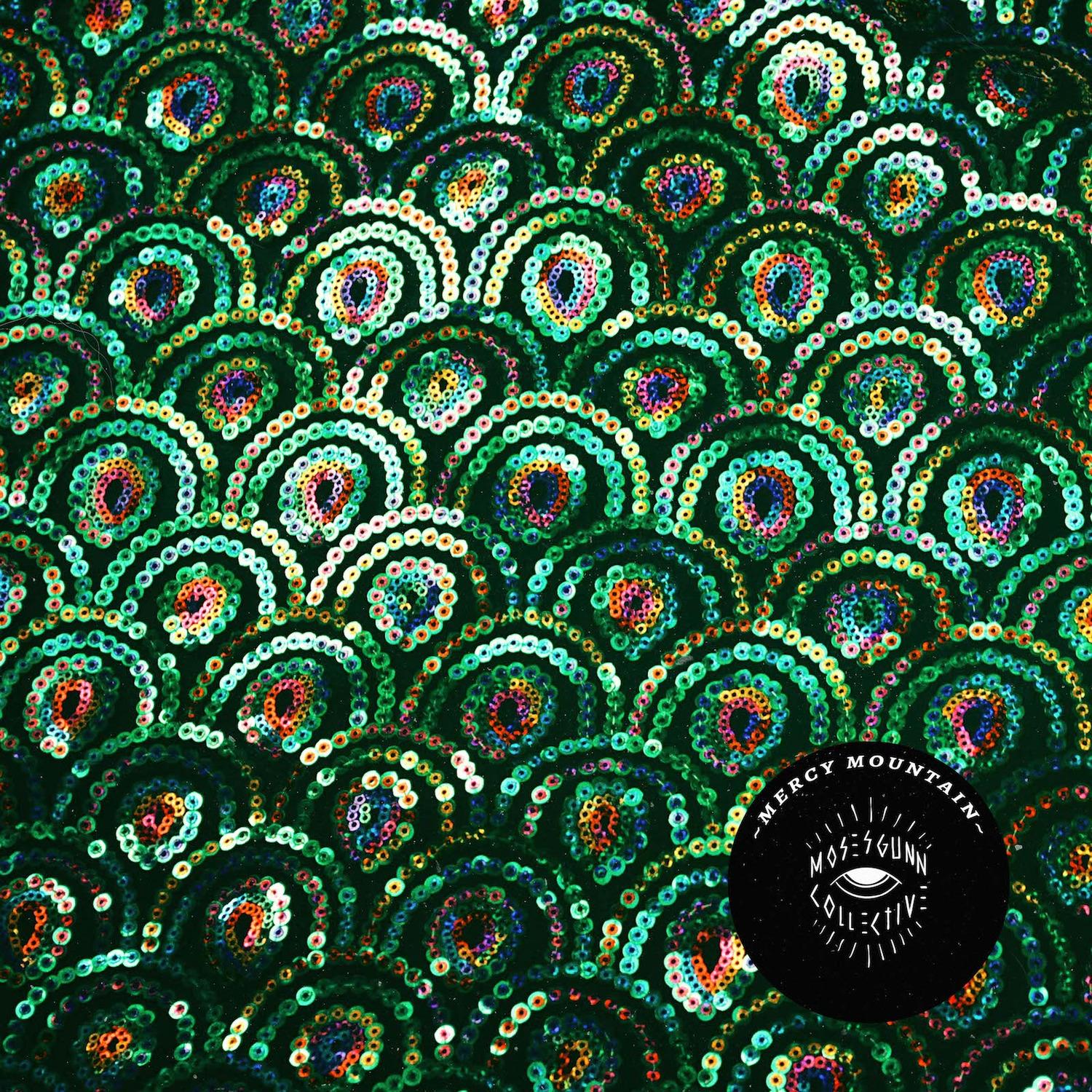 Hole in the Wall - Moses Gunn Collective | Hole in the Wall cover 封面