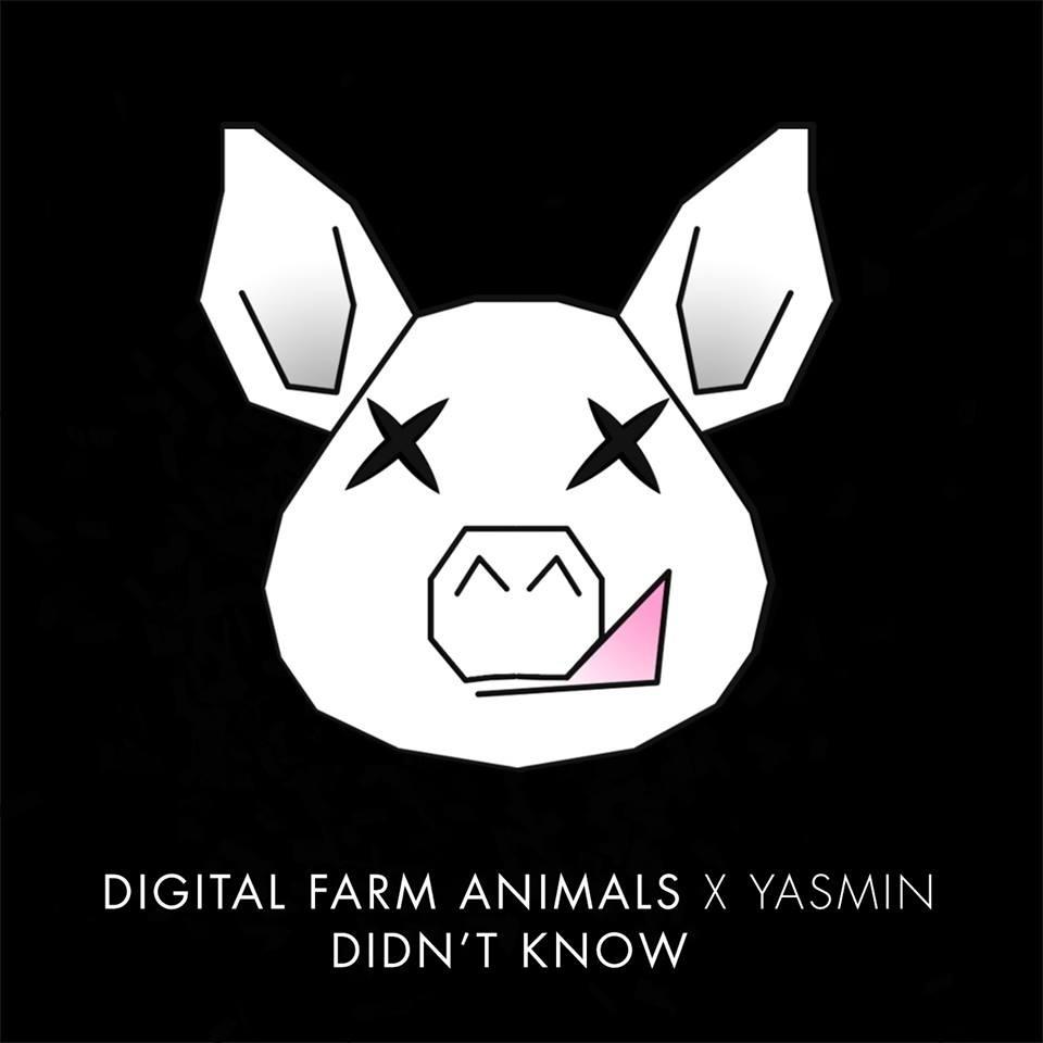 Didn't Know - Digital Farm Animals / Yasmine Niazy | Didn't Know cover 封面