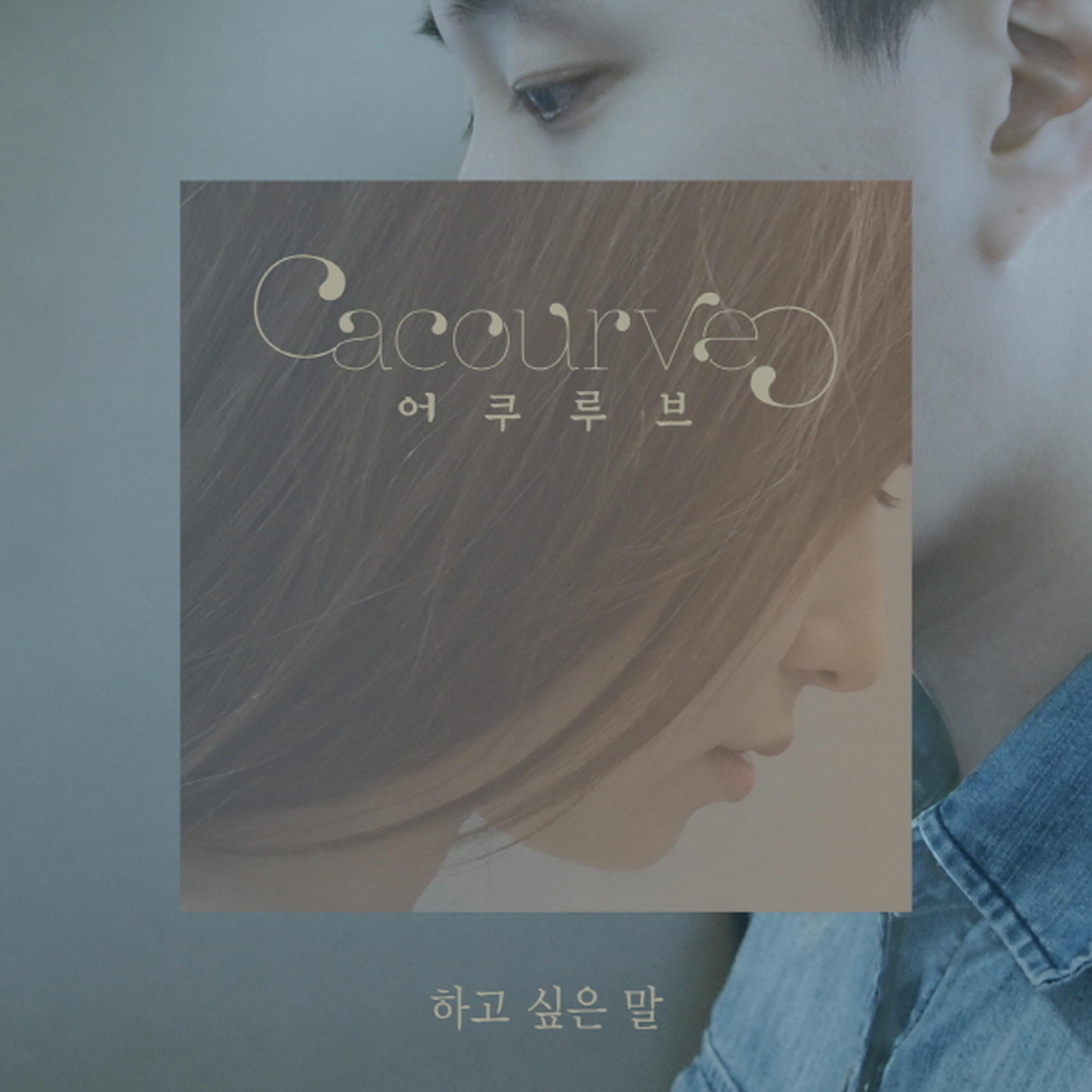 하고 싶은 말 - Acourve / Han All | 하고 싶은 말 cover 封面