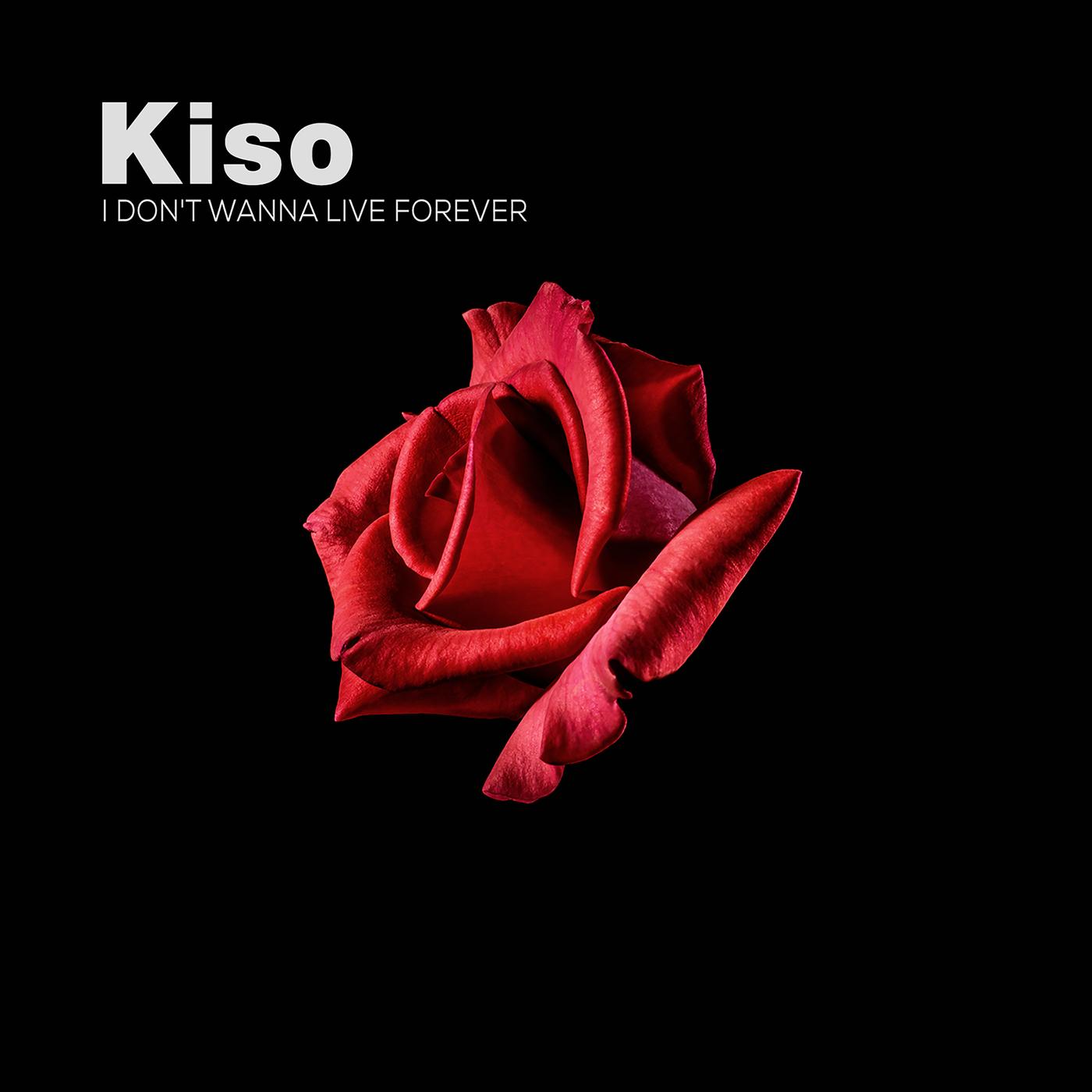 I Don't Wanna Live Forever - Kiso / Kayla Diamond | I Don't Wanna Live Forever cover 封面