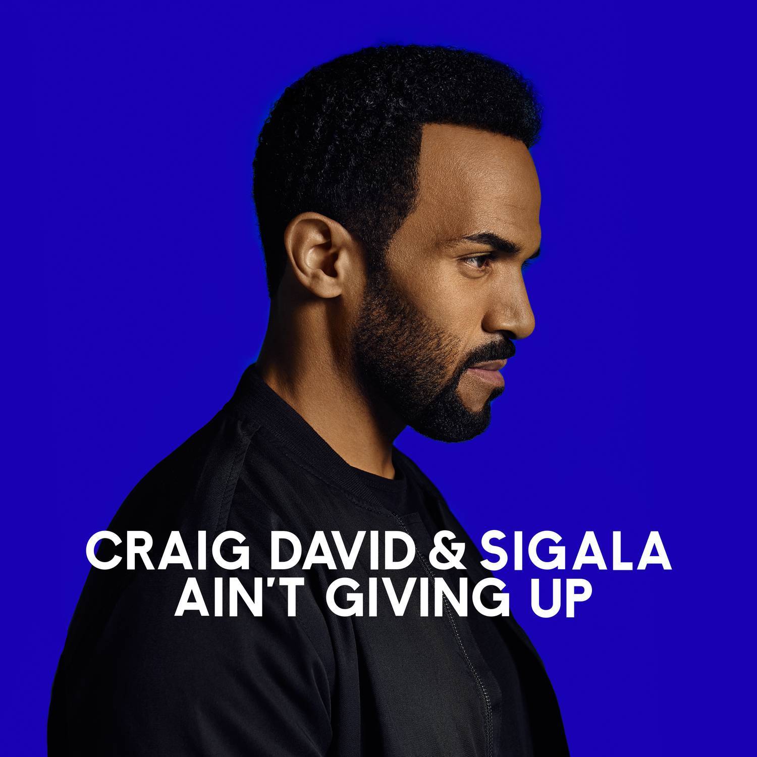 Ain't Giving Up - Craig David / Sigala | Ain't Giving Up cover 封面