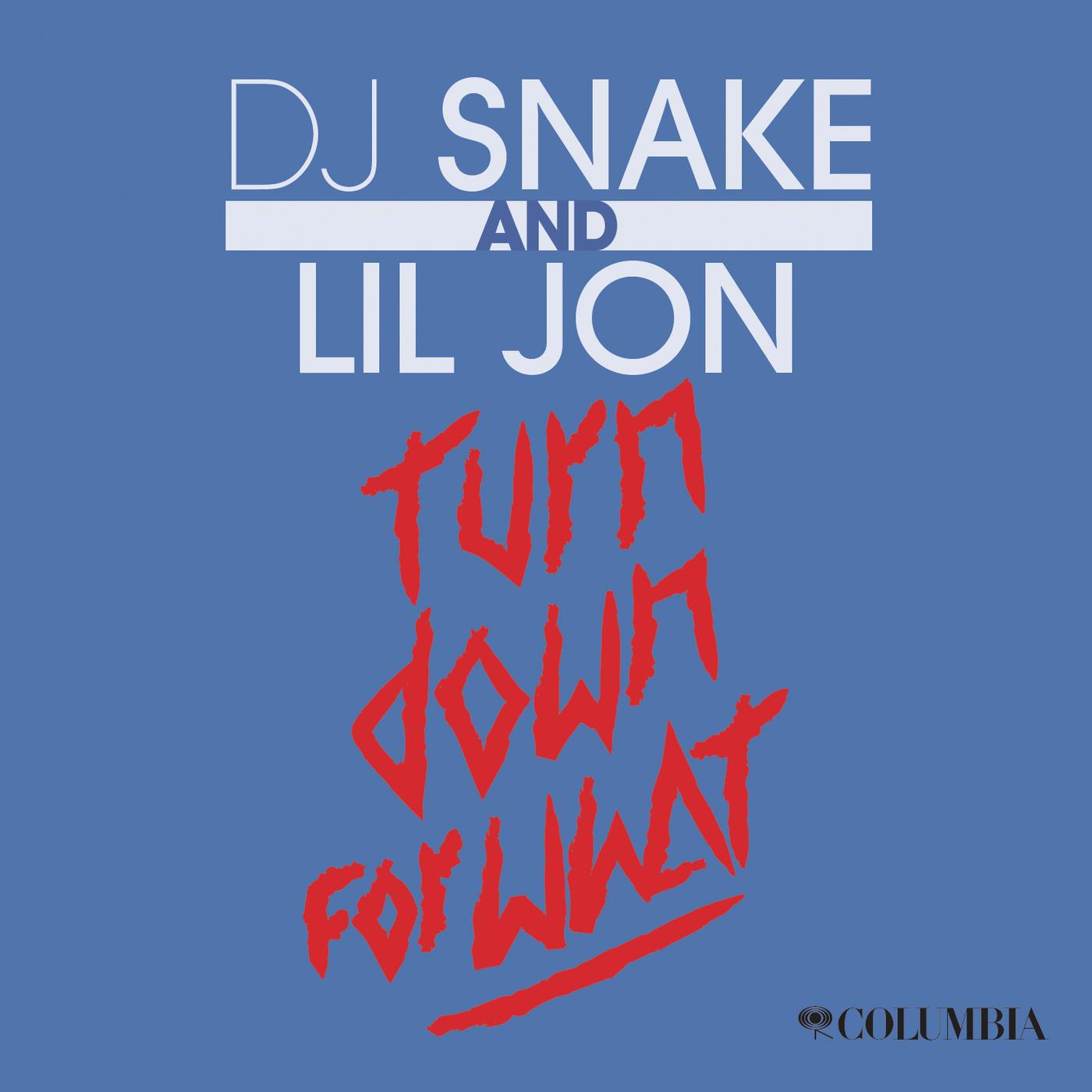 Turn Down for What - DJ Snake / Lil Jon | Turn Down for What cover 封面