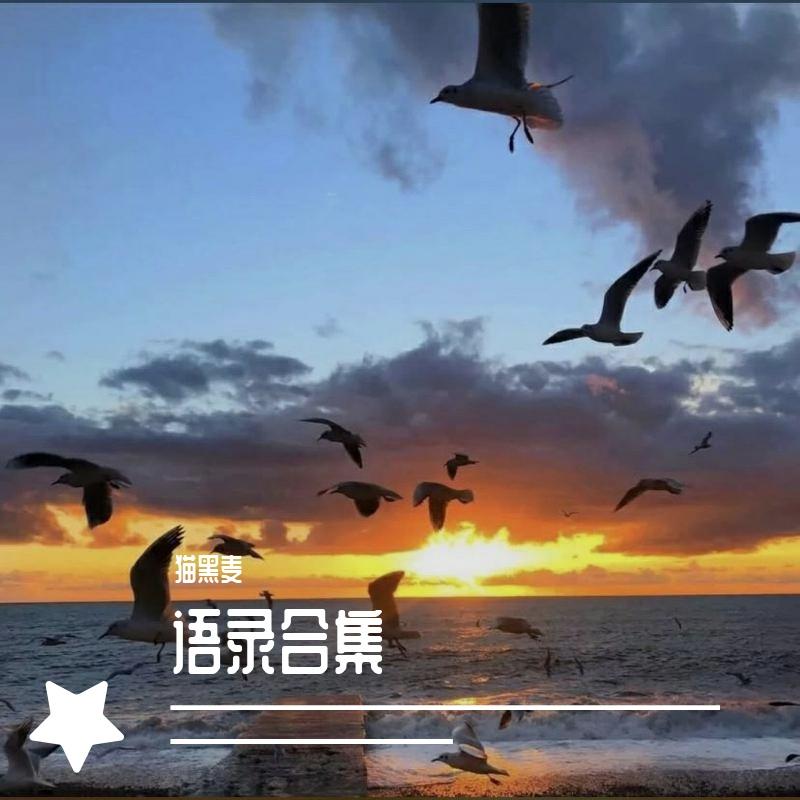 爱情公寓语录 - 猫黑麦 | 爱情公寓语录 cover 封面