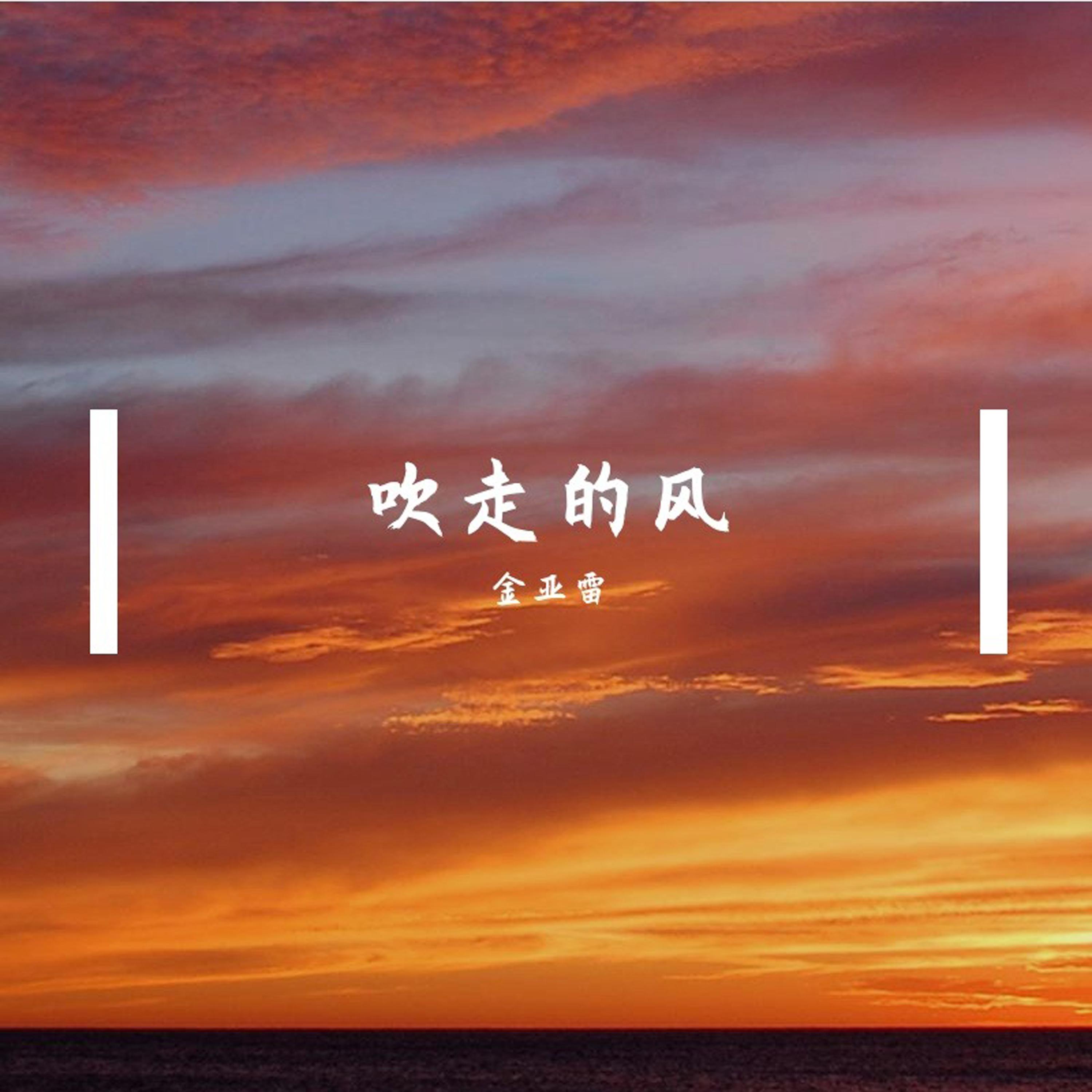 风殇 - 金亚雷 | 风殇 cover 封面