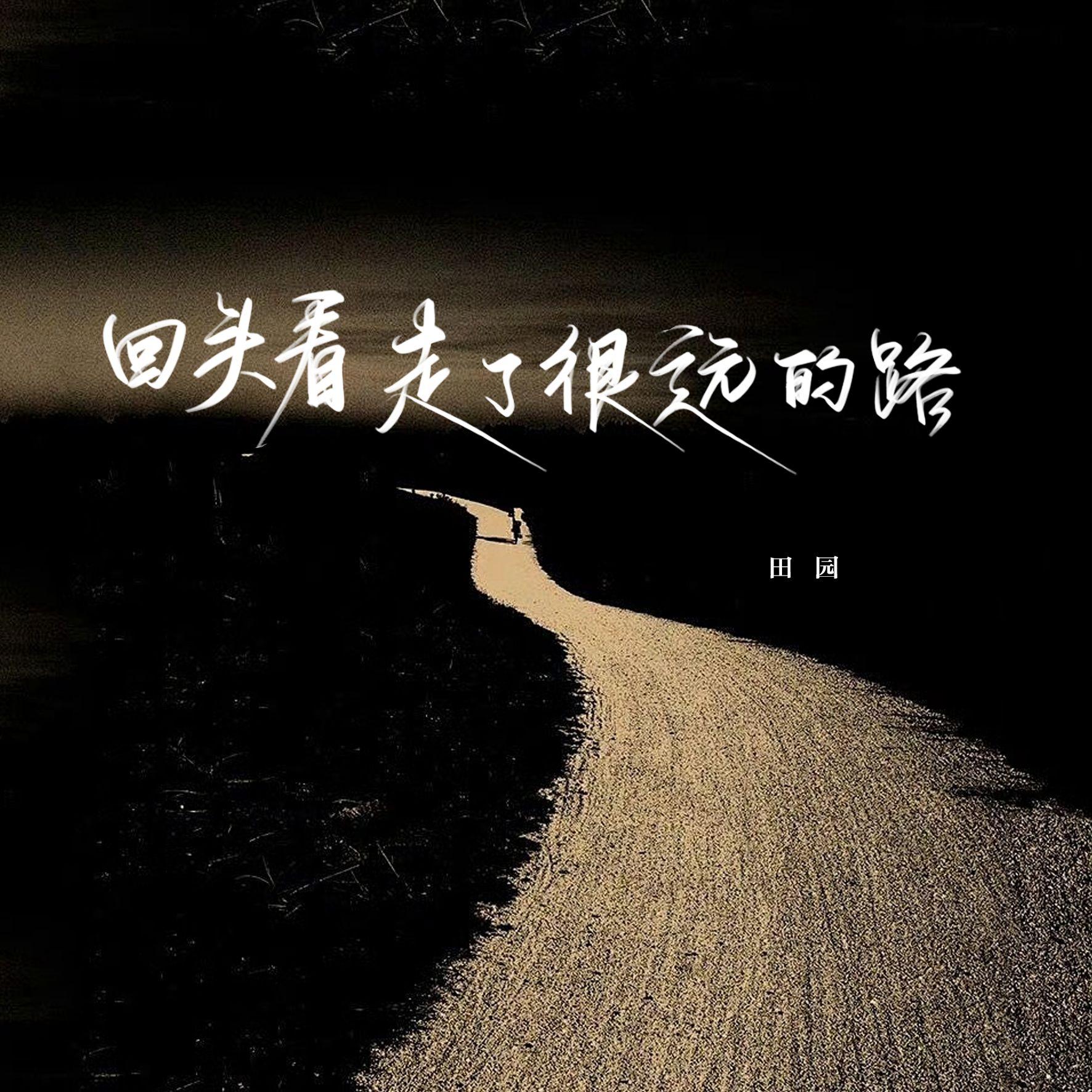 回头看，走了很远的路（烟嗓女版） - 田园 | 回头看，走了很远的路（烟嗓女版） cover 封面