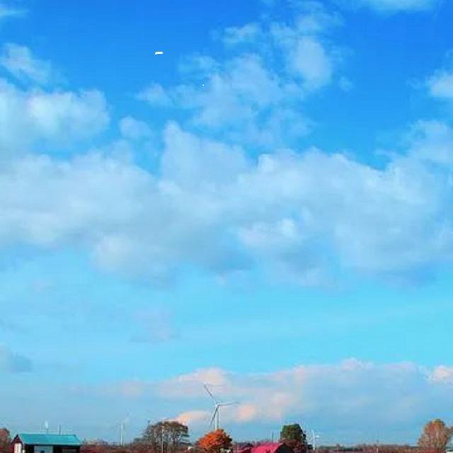 昨日青空 - 签约de阳光 | 昨日青空 cover 封面