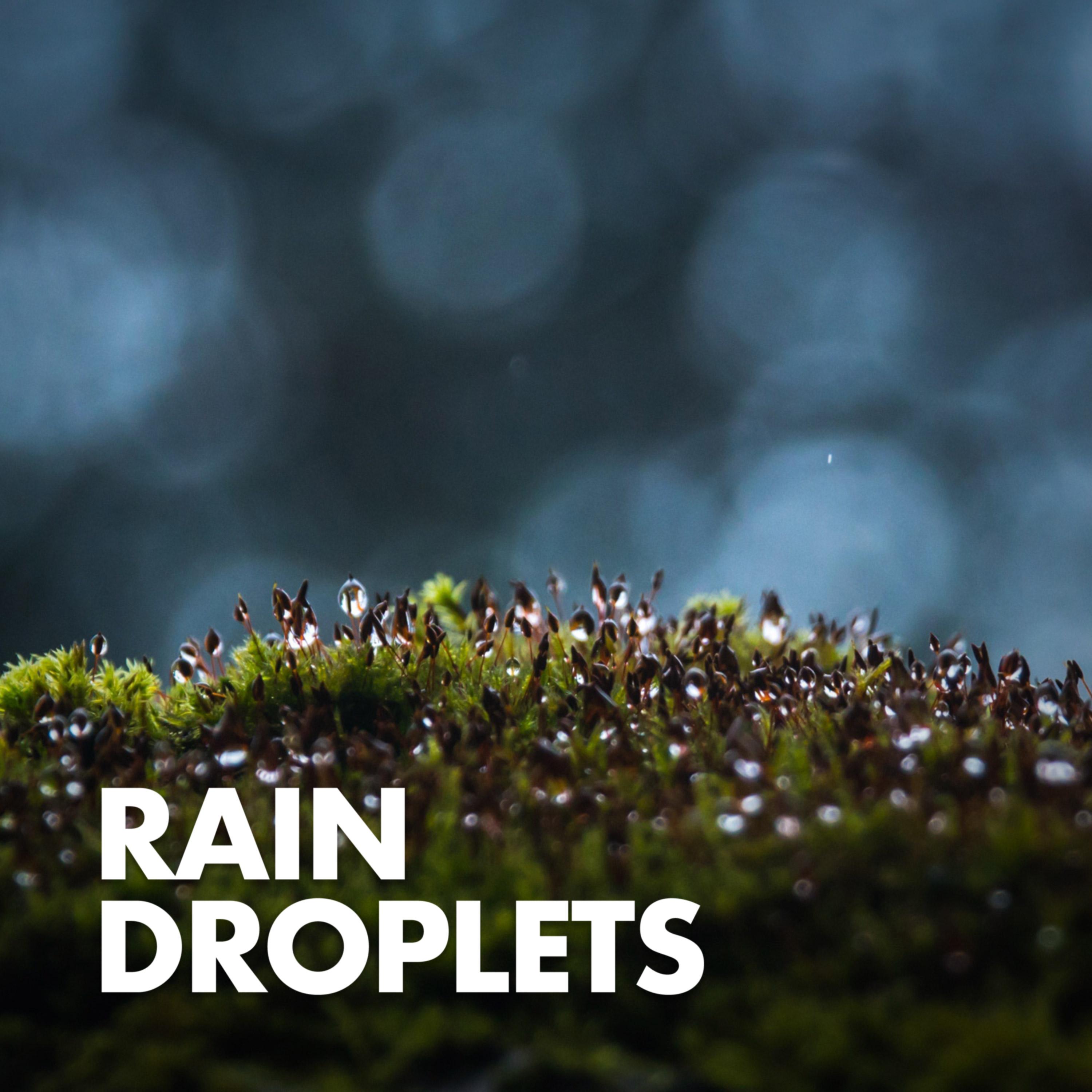 Thunderstorm Background (Original Mix) - Rain Sounds | Thunderstorm Background (Original Mix) cover 封面