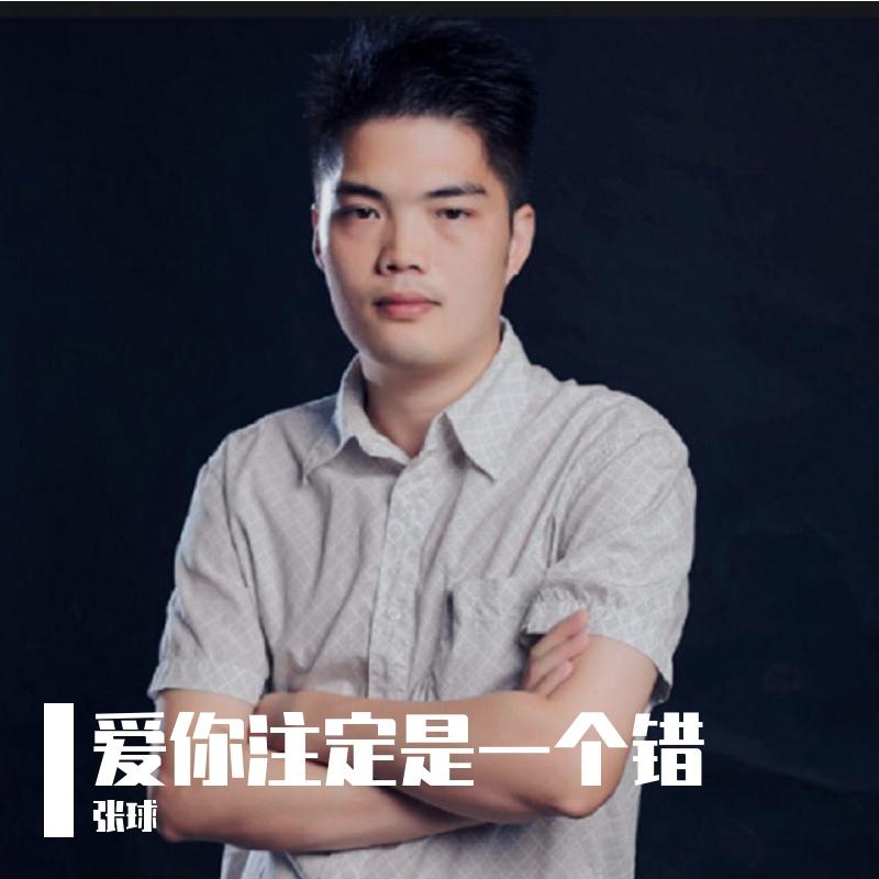 爱情没有对错 只有爱与不爱 - 张球 | 爱情没有对错 只有爱与不爱 cover 封面