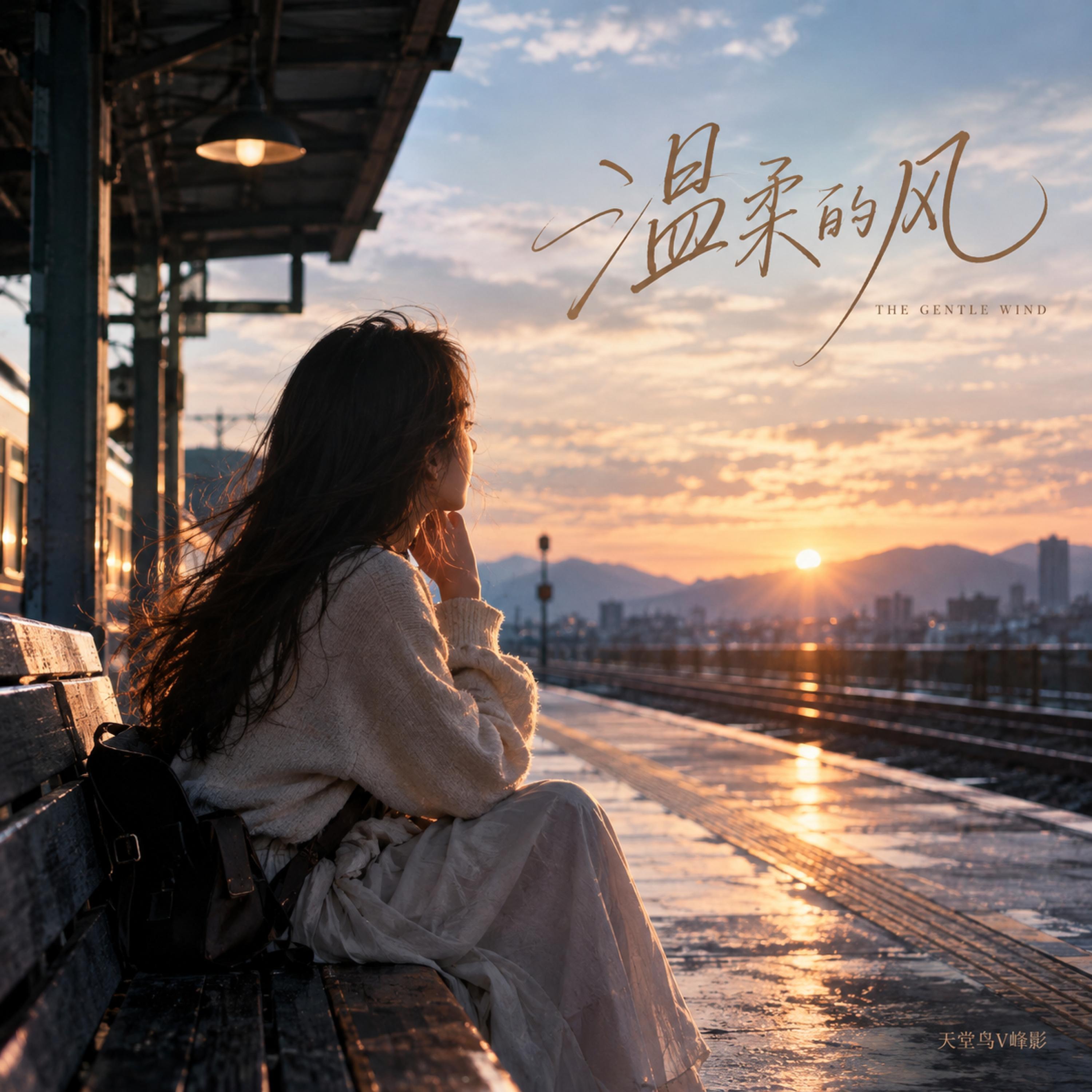 温柔的风 - 天堂鸟V峰影 | 温柔的风 cover 封面