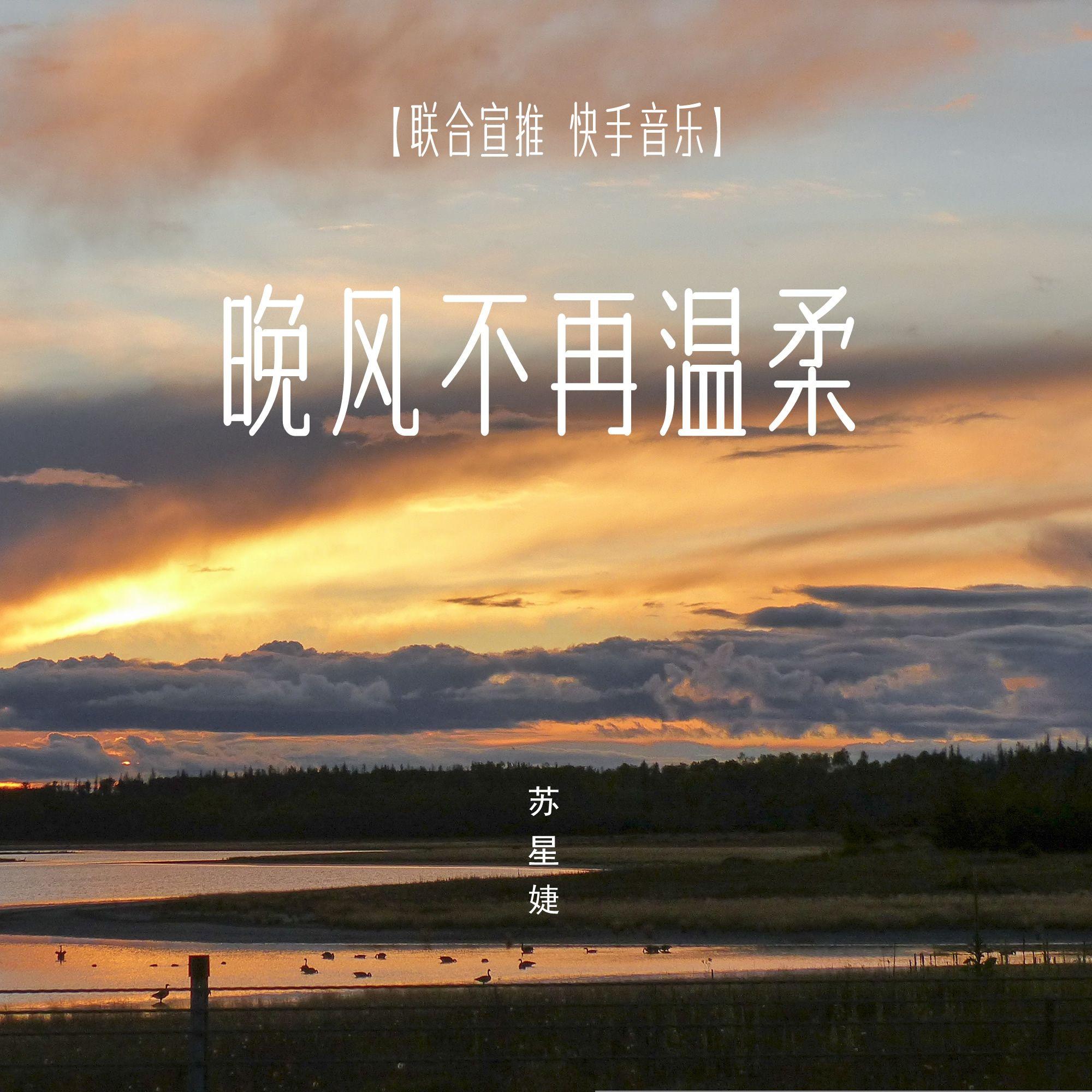 晚风不再温柔 - 苏星婕 | 晚风不再温柔 cover 封面