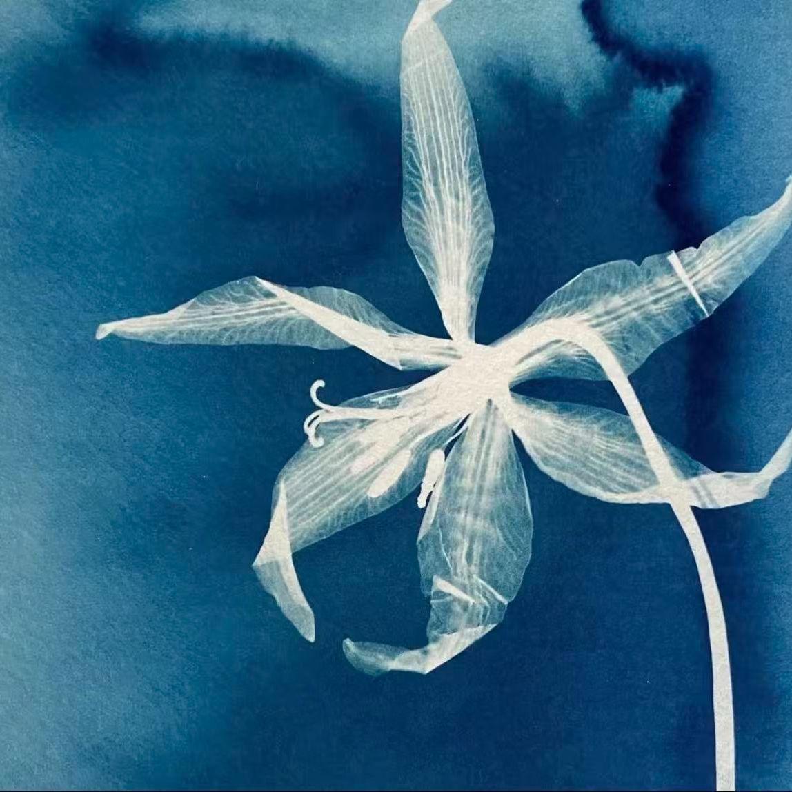 感情里的阶下囚 - Dinasour / 奶芙小杨. / 六陆六 / 小民 / DJ大胡 / DJ小红 / 十二噜噜噜 / DJ小骚杨 / DJ小强 / DJ萍 / DJ华哥 / 记得梦见我 / 圣菲达 / 大古变成光 / 山野星晴 / Mos蚊子 / 小四 / zeved / 小德 / Nd九尘 | 感情里的阶下囚 cover 封面