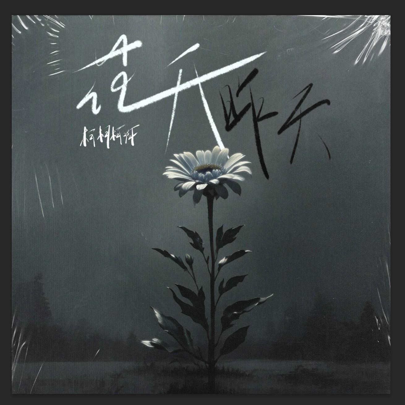 花开昨天 - 柯柯柯啊 | 花开昨天 cover 封面