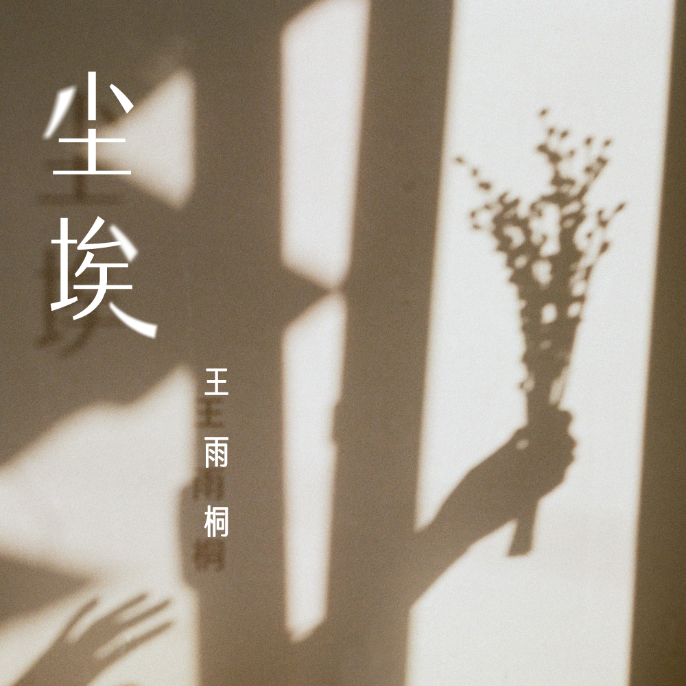 尘埃 - 王雨桐 | 尘埃 cover 封面