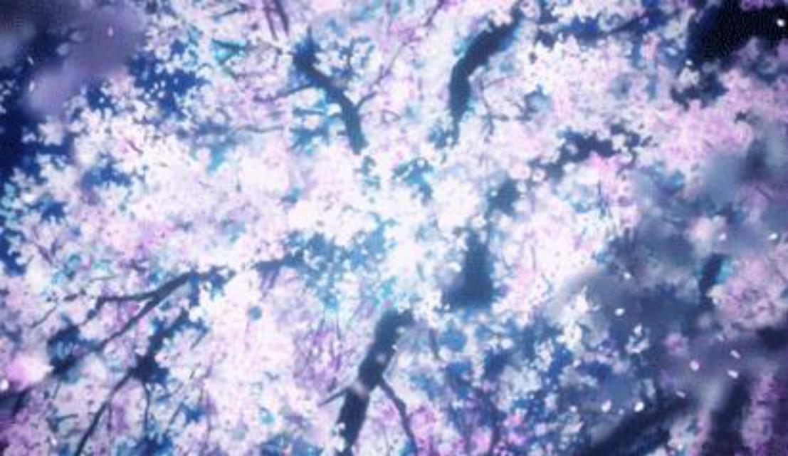 樱花的幻想 - 邹牧虞 | 樱花的幻想 cover 封面