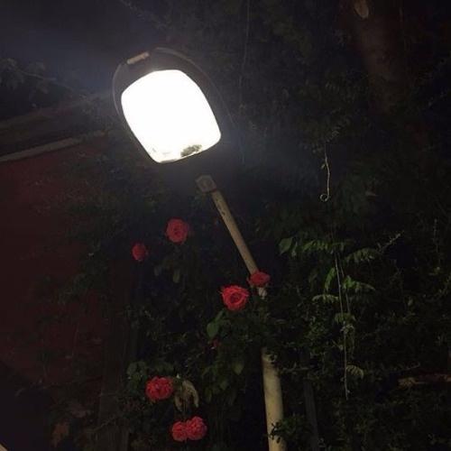 Bedford Falls - ford | Bedford Falls cover 封面