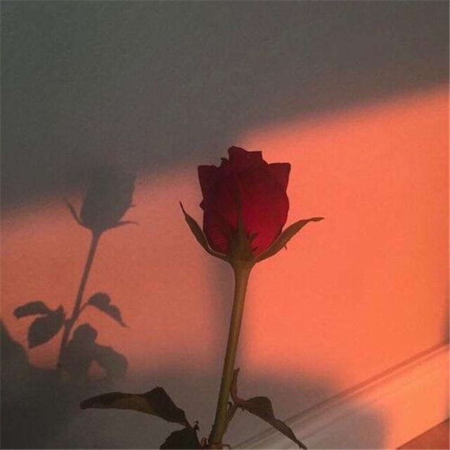 Lea Rue-爱情是那么难遇到的东西 - RT / Lea Rue | Lea Rue-爱情是那么难遇到的东西 cover 封面