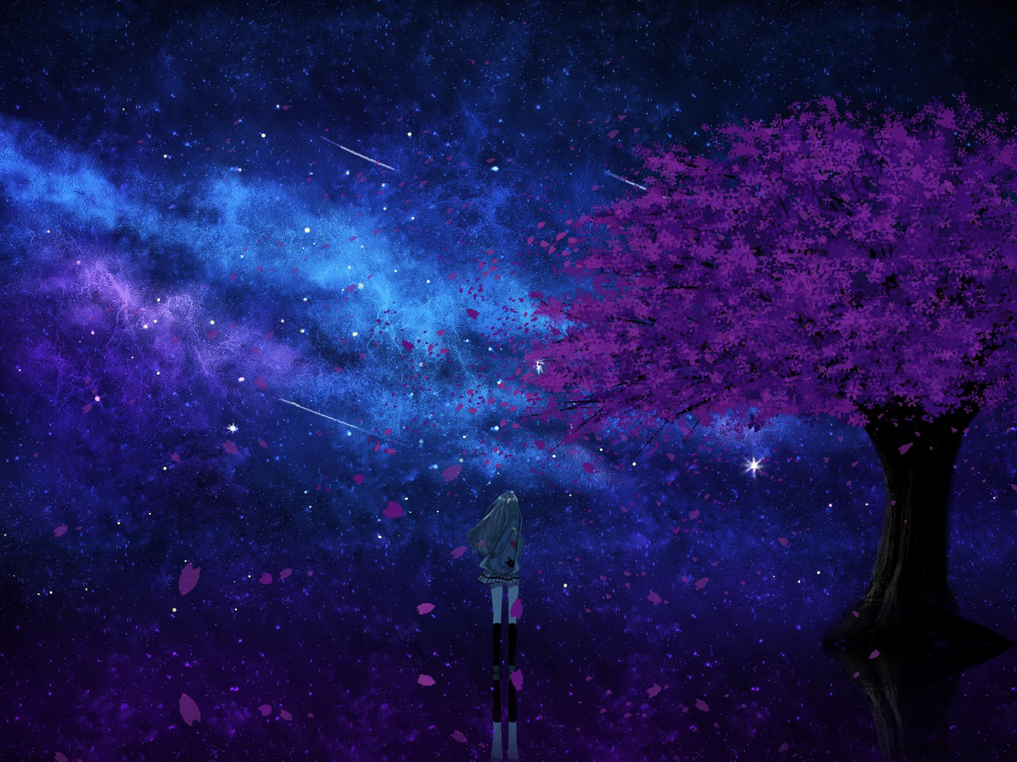 花雨繁星 - 十指流玉 | 花雨繁星 cover 封面