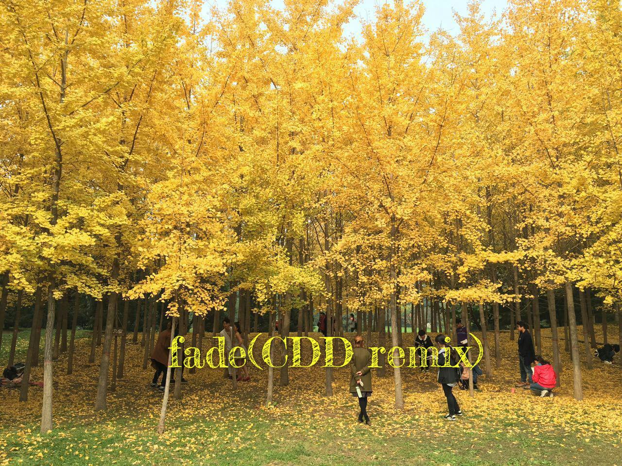 fade (CDD remix) - CDD | fade (CDD remix) cover 封面