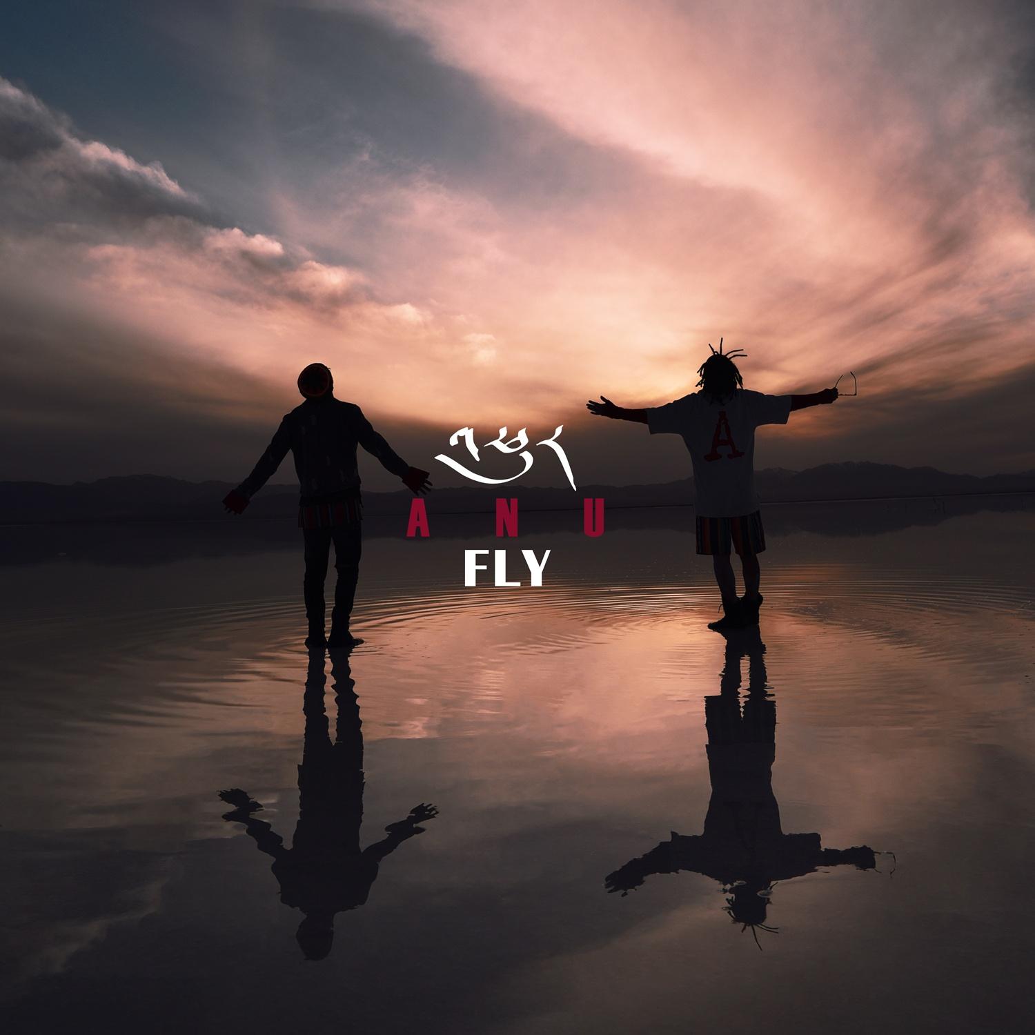 FLY-飞 - ANU | FLY-飞 cover 封面
