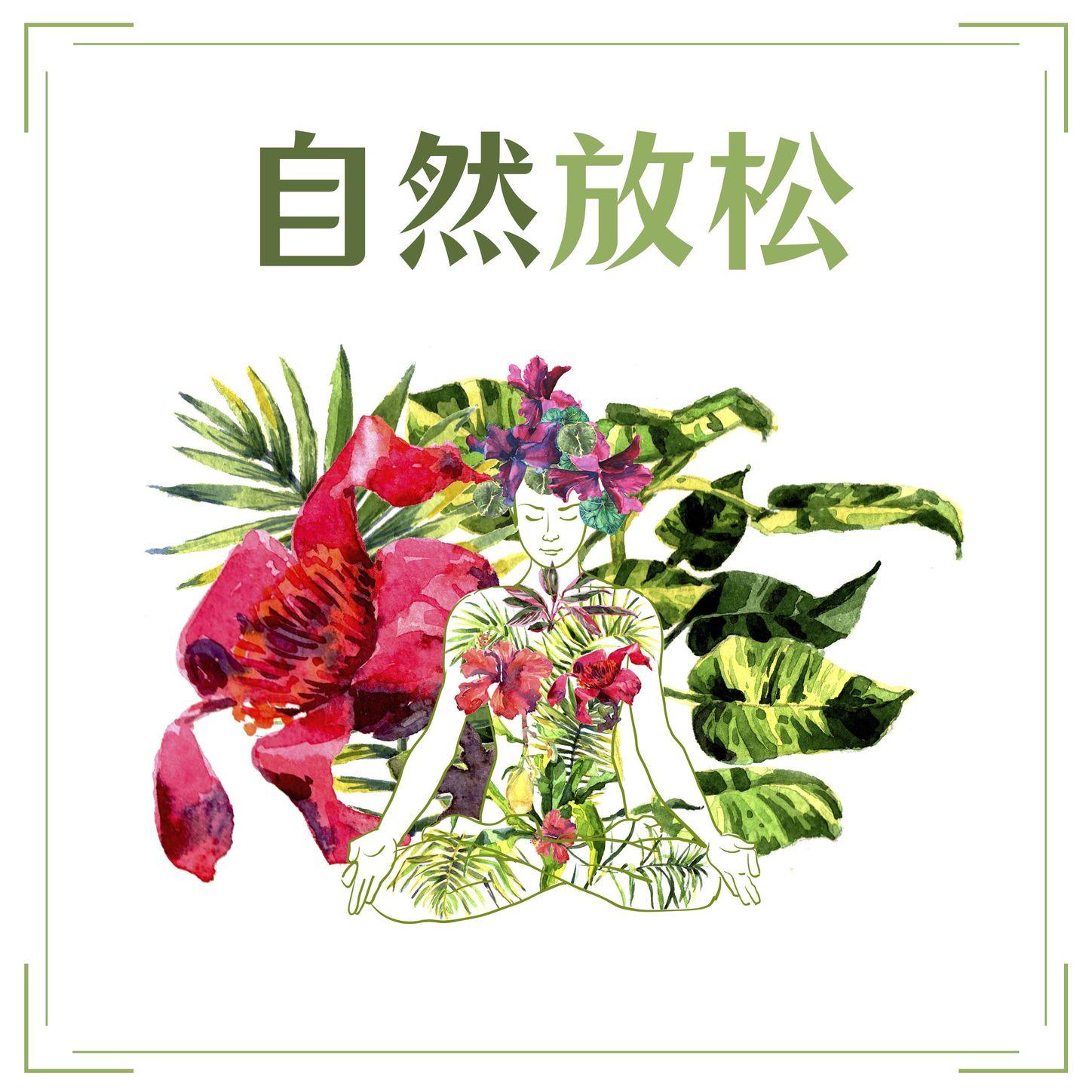 森林的河流 - 白噪音 / 森林的声音 | 森林的河流 cover 封面