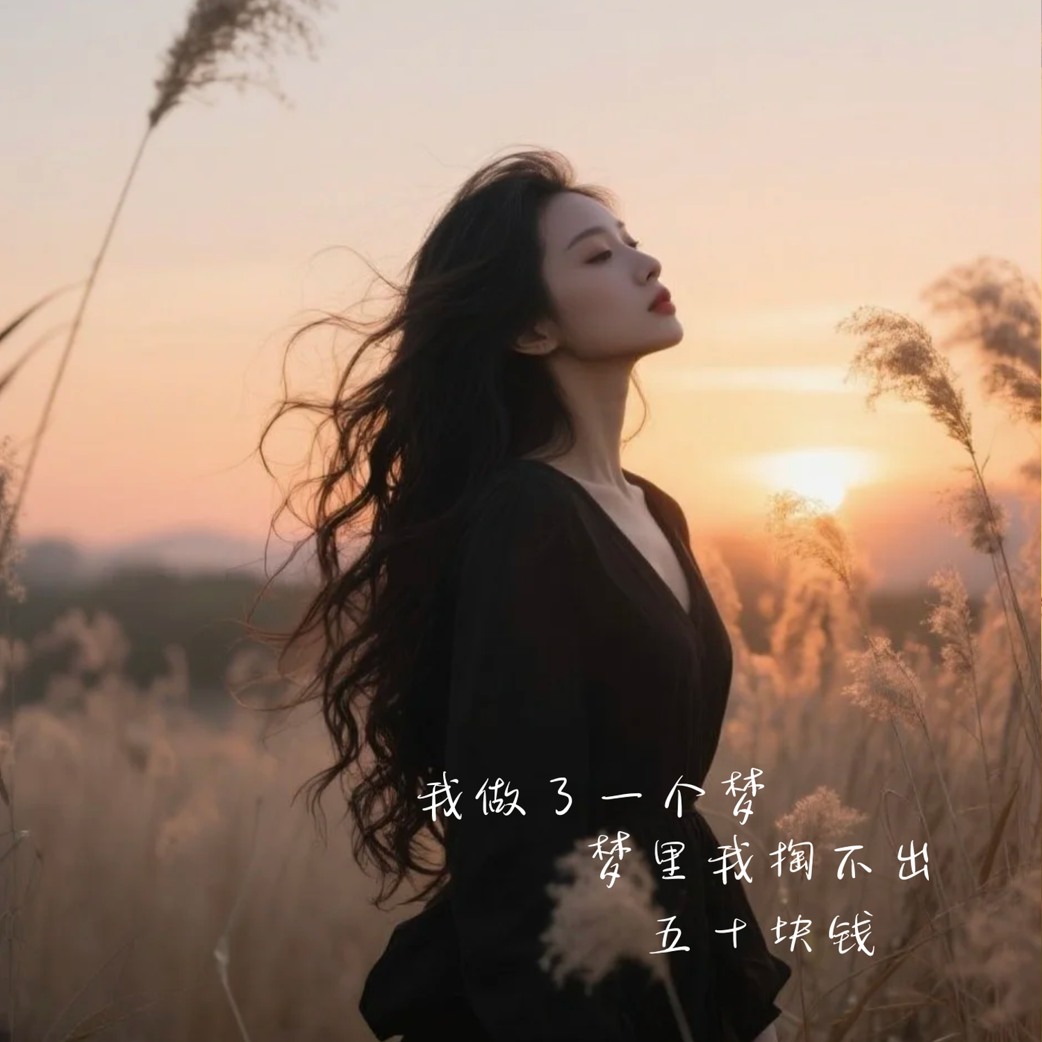 我做了一个梦 梦里我掏不出五十块钱 - 一千度 | 我做了一个梦 梦里我掏不出五十块钱 cover 封面