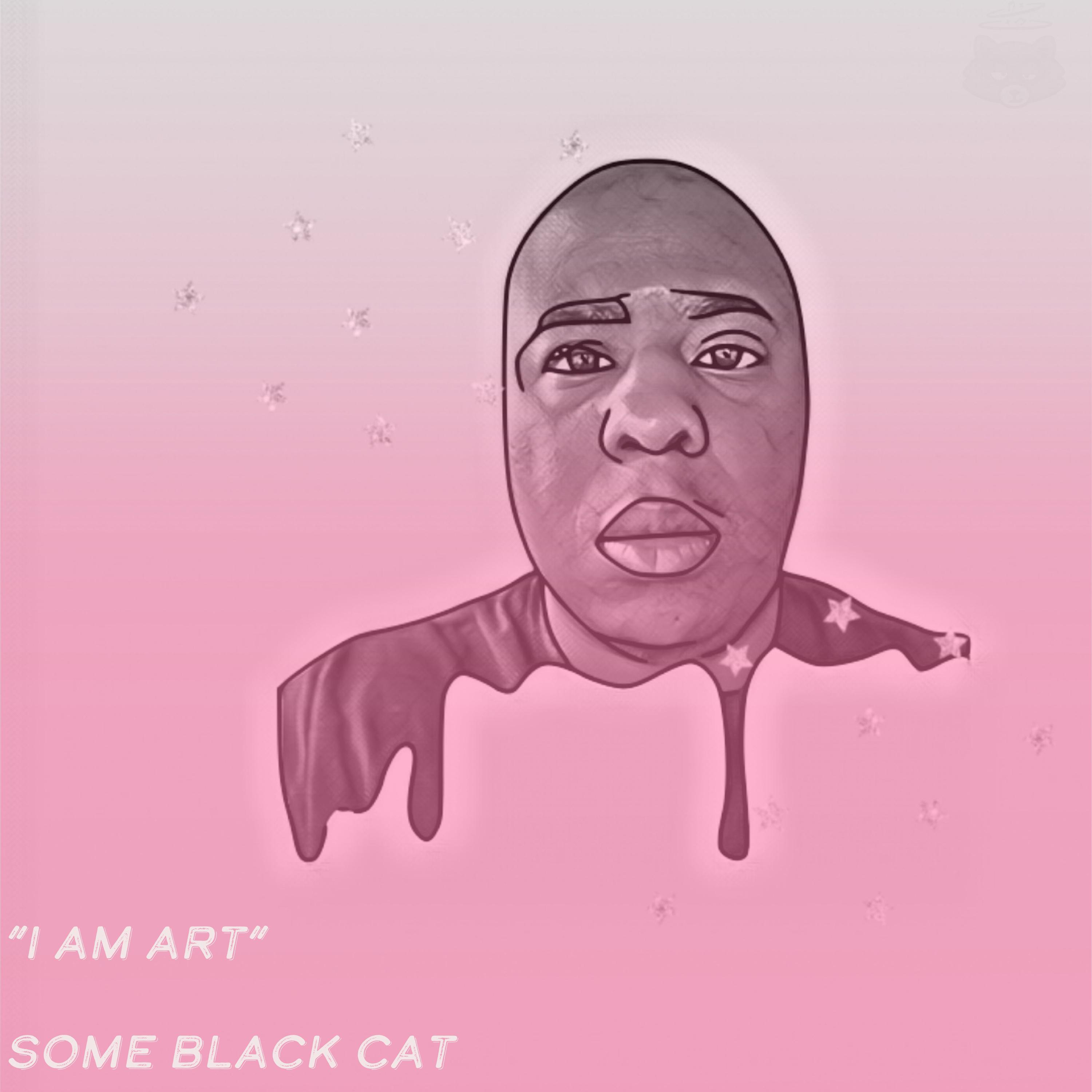 F'n Around (The Funk) - Some Black Cat | F'n Around (The Funk) cover 封面