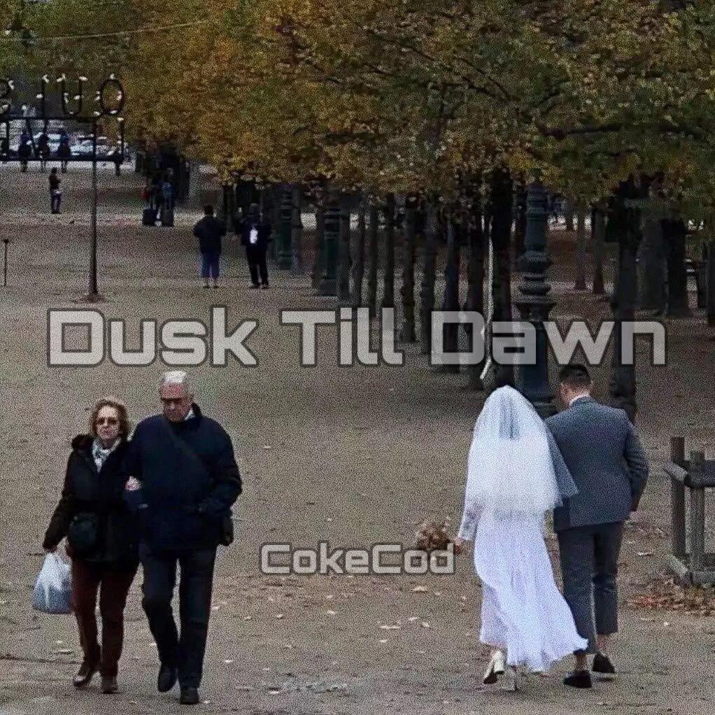 Sia-Dusk Till Dawn（Remix）（CokeCod remix） - 7ouTp | Sia-Dusk Till Dawn（Remix）（CokeCod remix） cover 封面