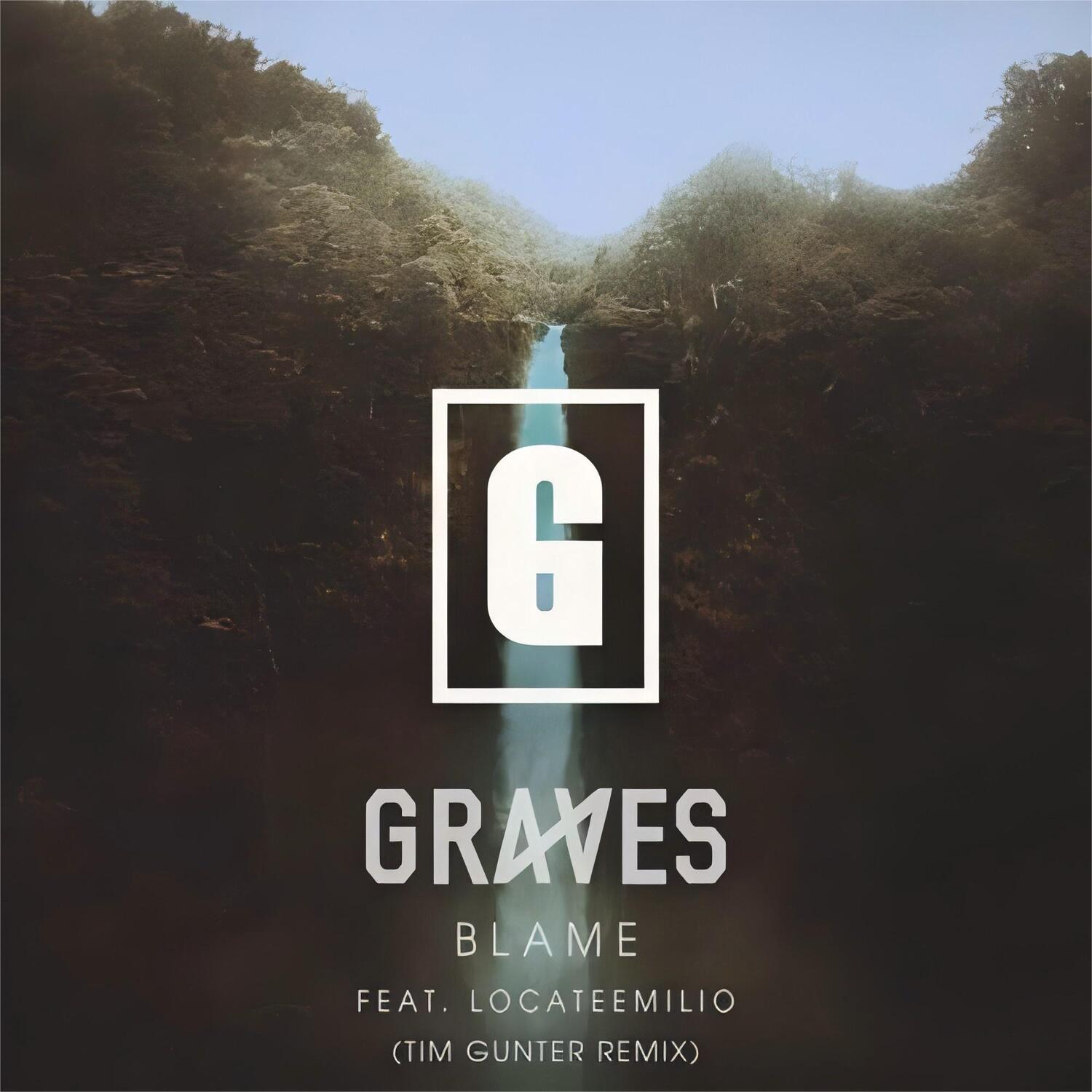 Blame (Tim Gunter Remix) - Tim Gunter / Graves | Blame (Tim Gunter Remix) cover 封面