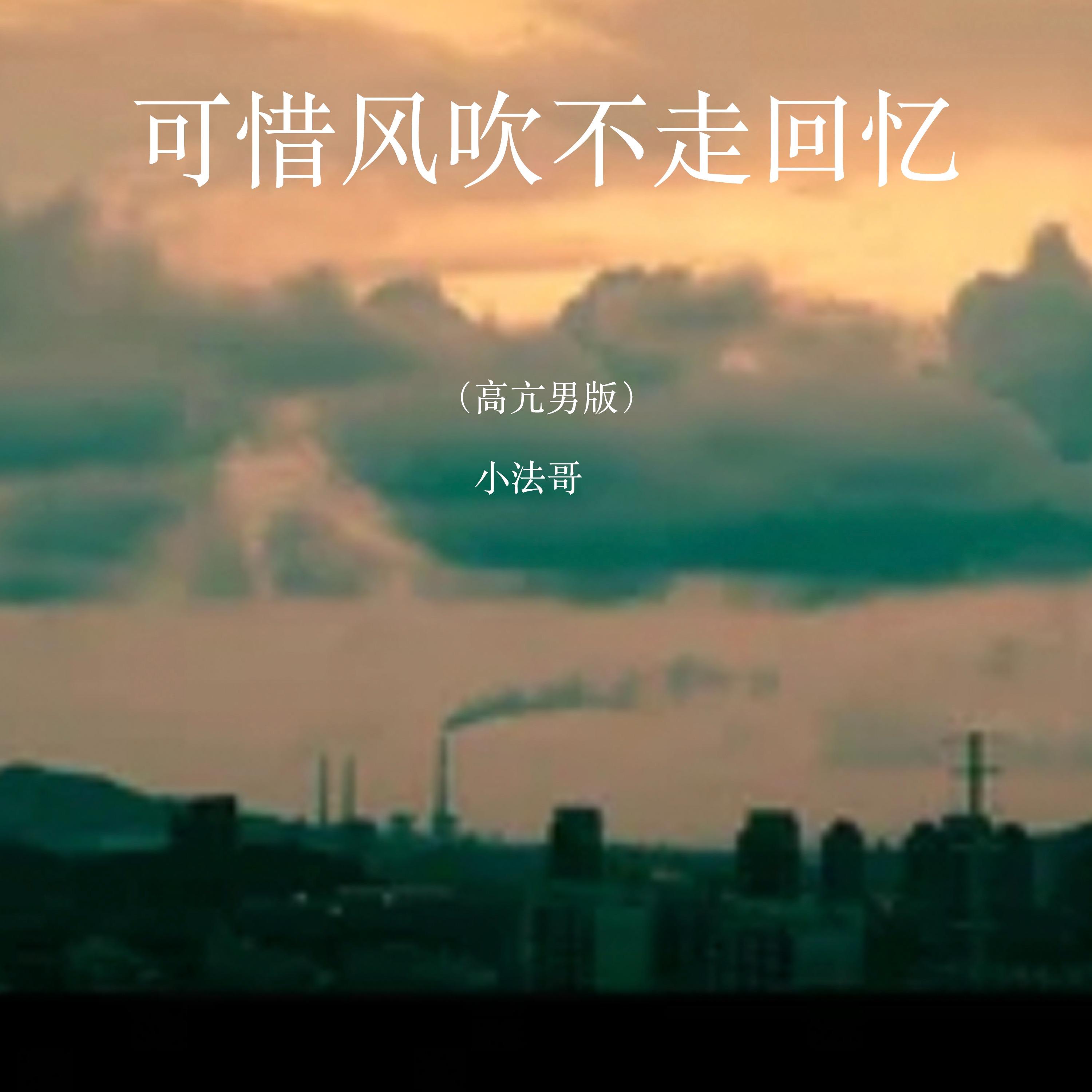 可惜风吹不走回忆(高亢男版) - 小法哥 | 可惜风吹不走回忆(高亢男版) cover 封面