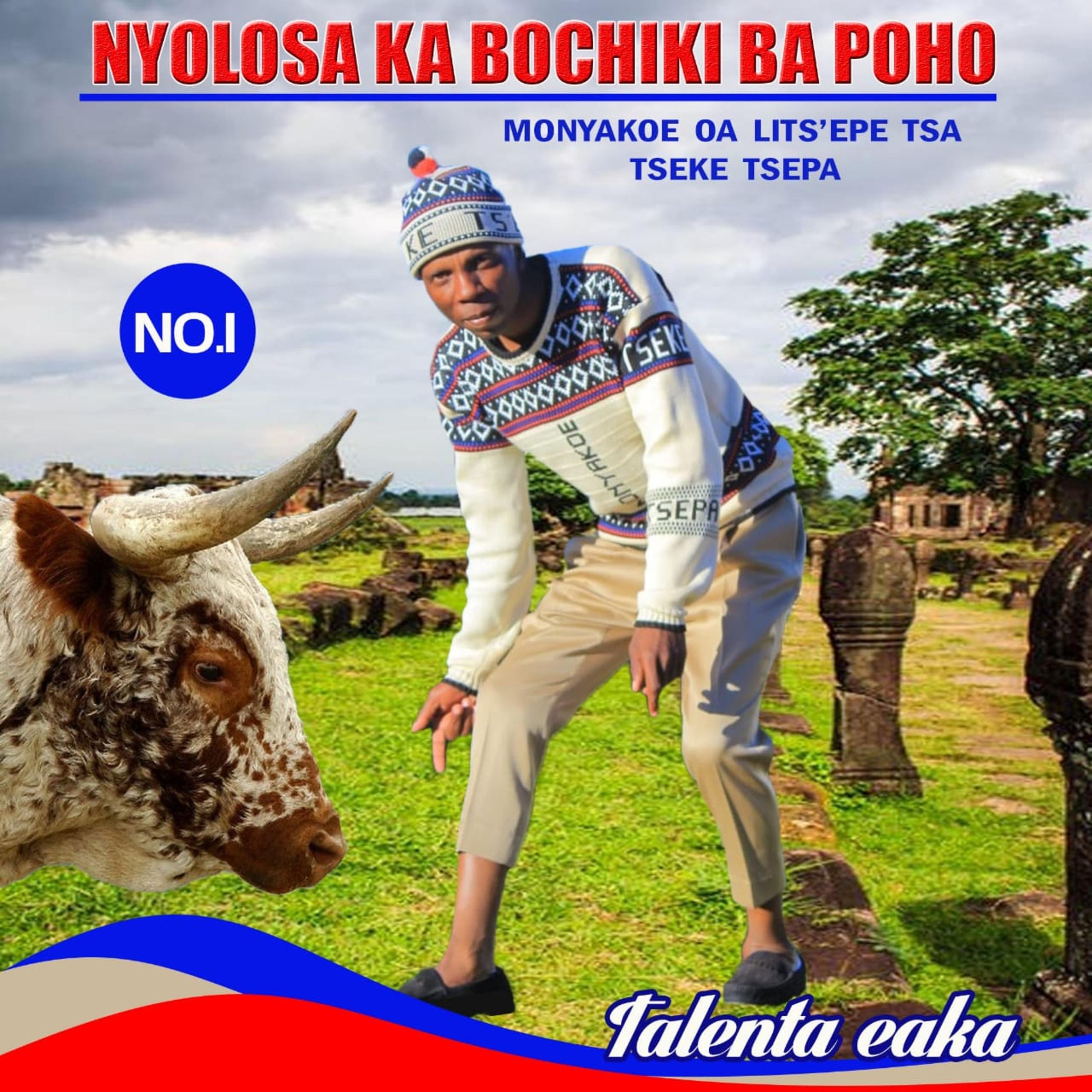 Phuthi - Nyolosa Kapo Moepa | Phuthi cover 封面